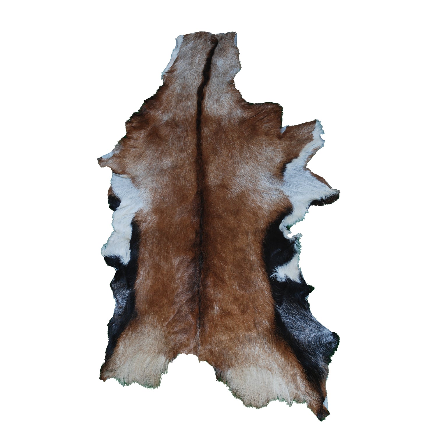 Goat Skin Rug: Tri-Color genuine Goat hide rug