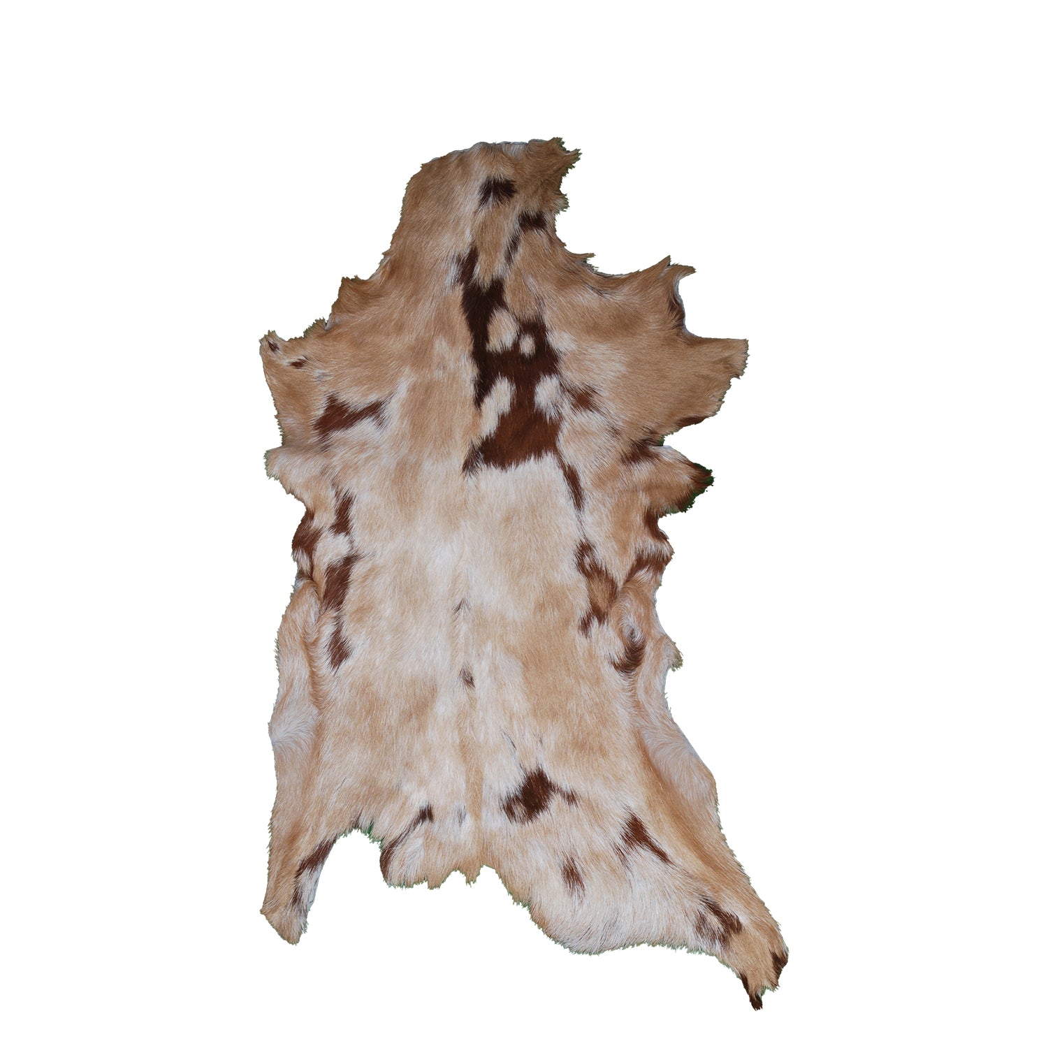 Goat Skin Rug: Tri-Color genuine Goat hide rug