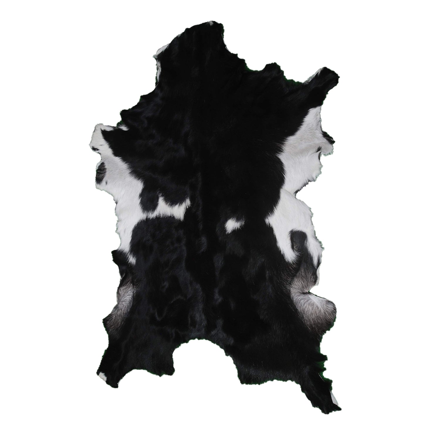 Goat Skin Rug, Goat skin rug ikea, Long Haired Goat Skin Rug, Goat skin rug amazon, Goat skin rug for sale, Best goat skin rug, Goat skin leather, Goat skin rug ikea review, Best goat rug, Fur Rug, Large goat rug ikea, Goat rug ikea price, White goat skin rug ikea, Goat rug ikea, Goat rug amazon, Long Haired Goat Skin Rug, Goat rug for sale