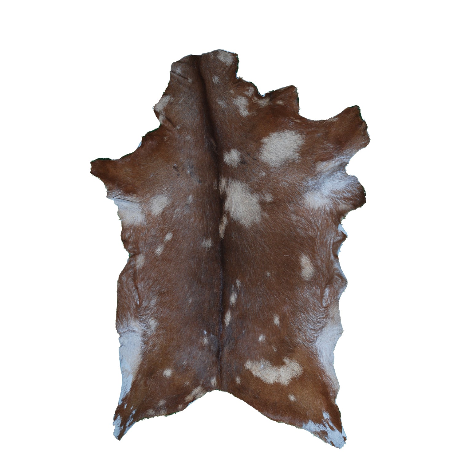 Handcrafted Dark Brown Goat Skin Rug – Authentic Elegance for Your Home