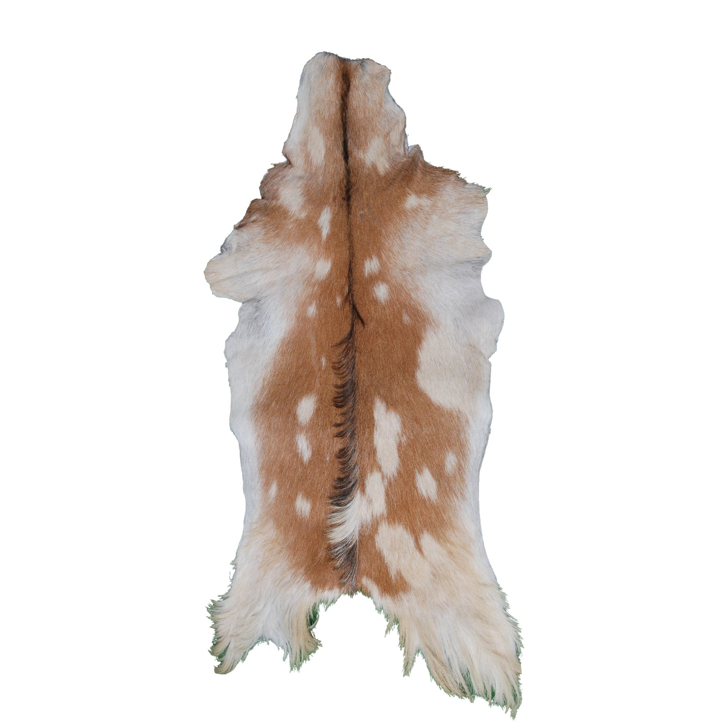 Brown and White Handmade Goat Skin Rug – Classic Elegance for Your Home