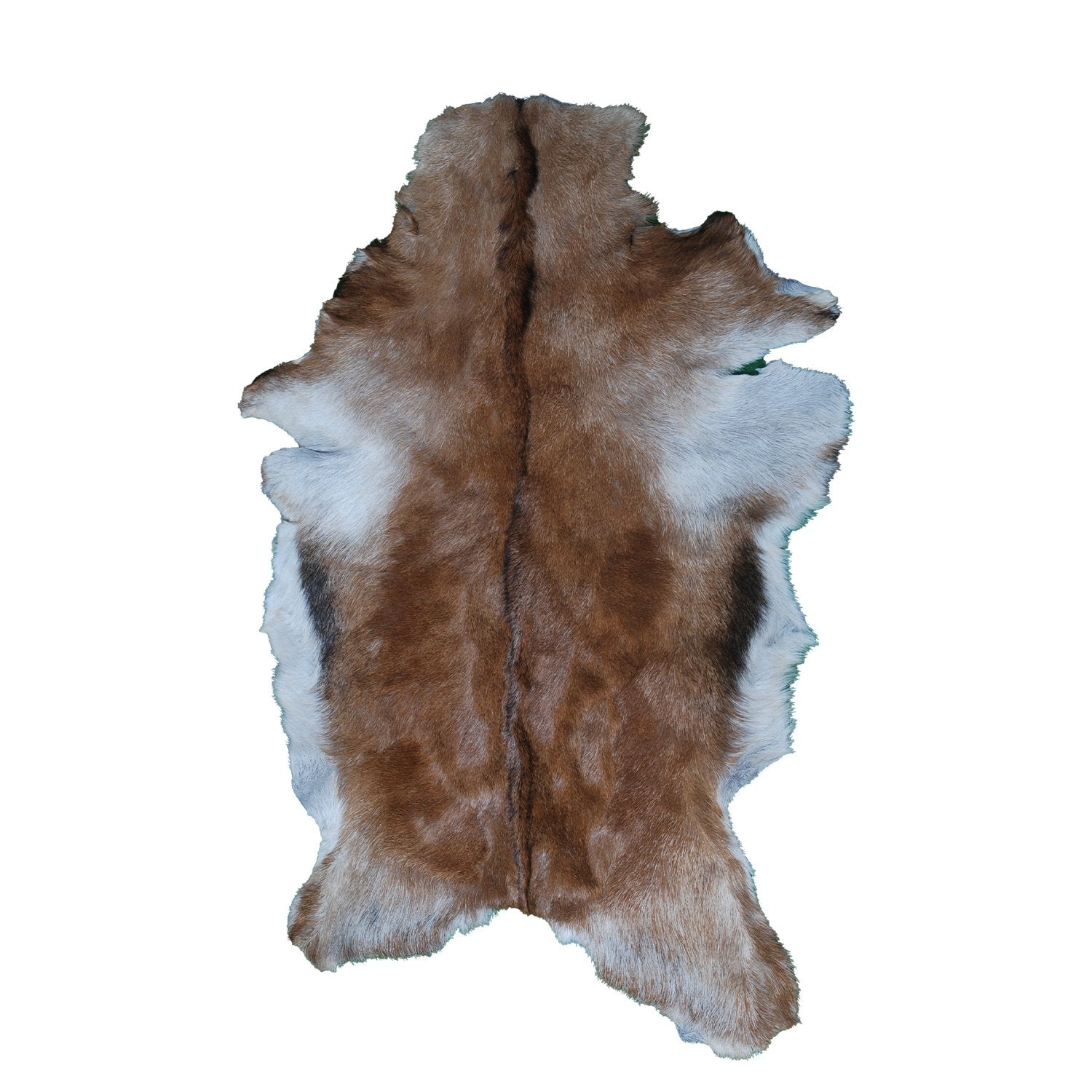 Luxurious Multicolor Goat Skin Rug - Handmade, Soft, Non-Shedding, Hypoallergenic, Sustainable & Eco-Friendly - Unique Statement Piece - Celestial Leather Limited