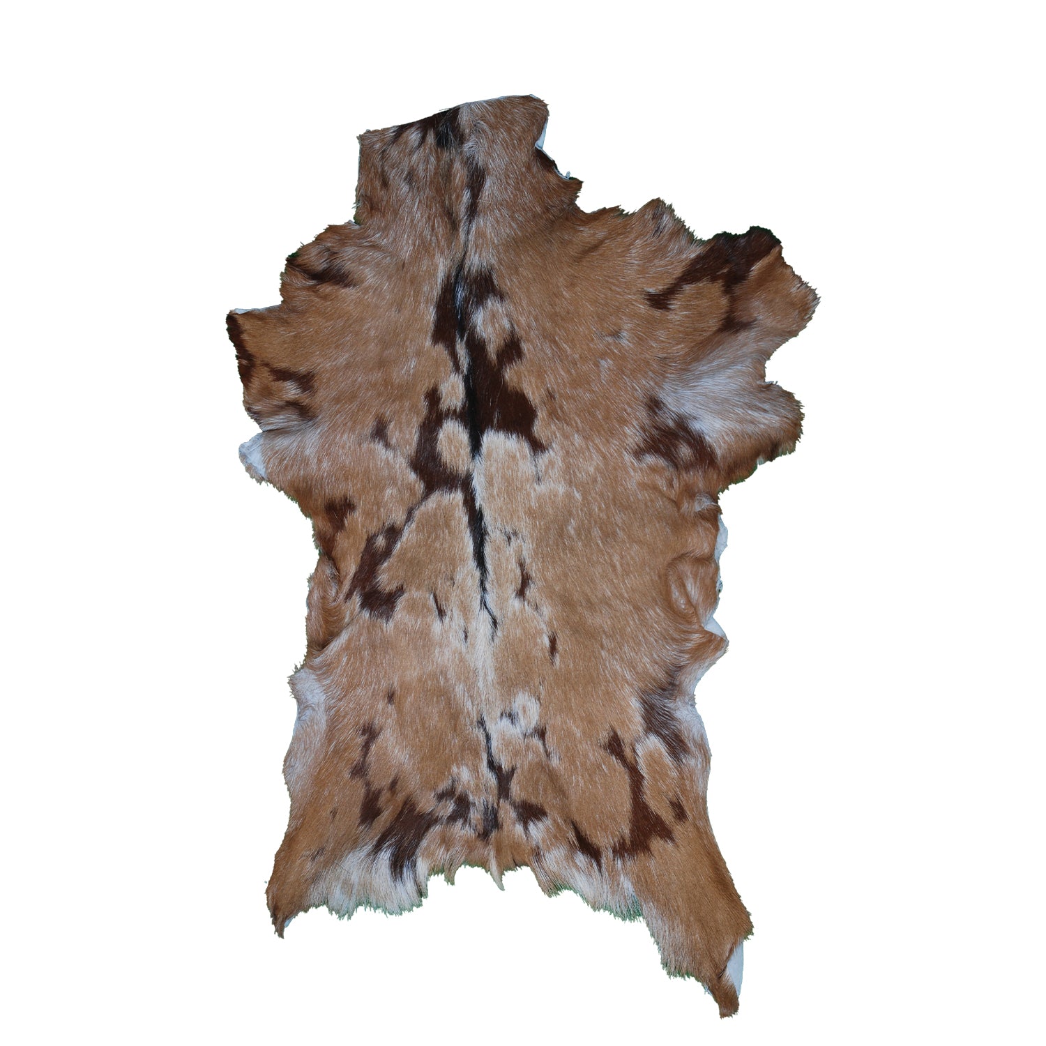 Goat Skin Rug: Tri-Color genuine Goat hide rug