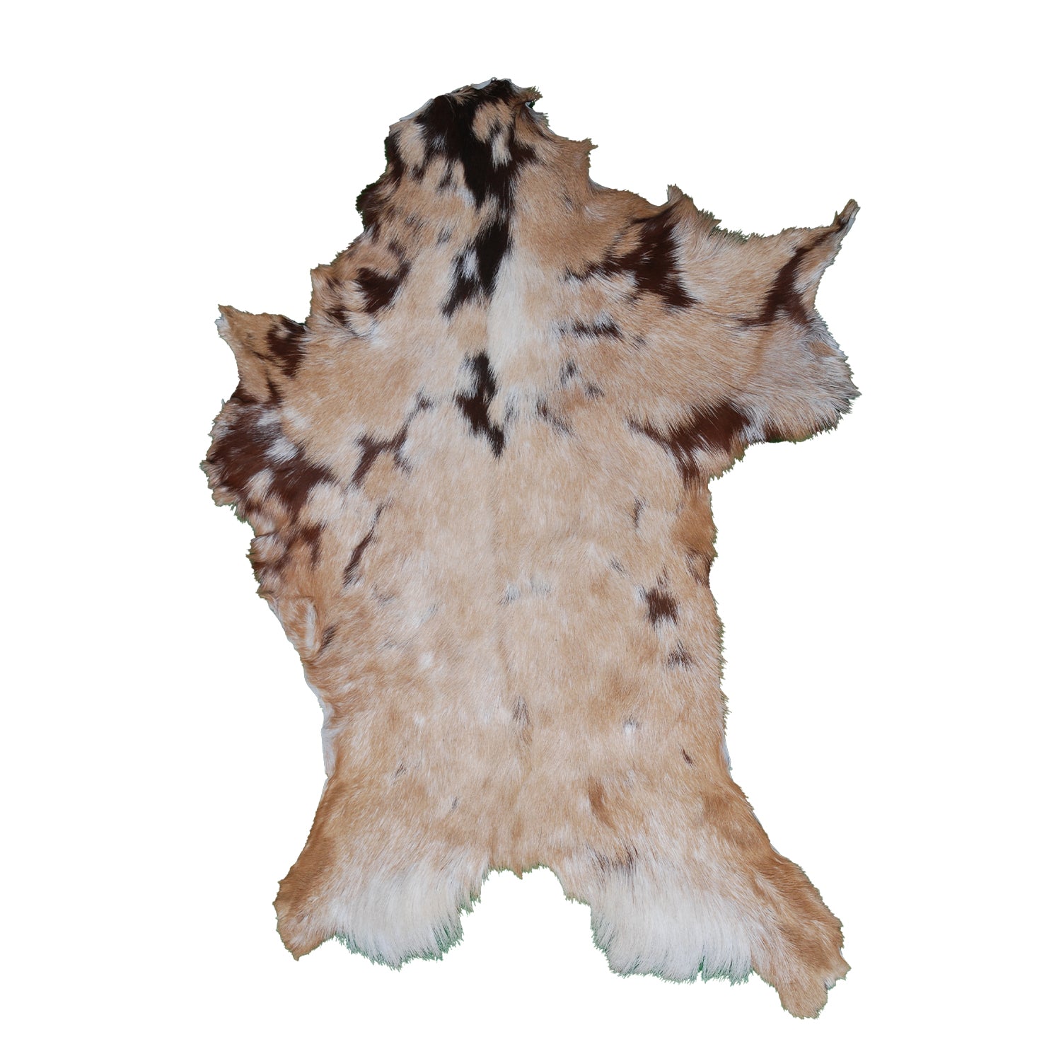 Goat Skin Rug: Tri-Color genuine Goat hide rug