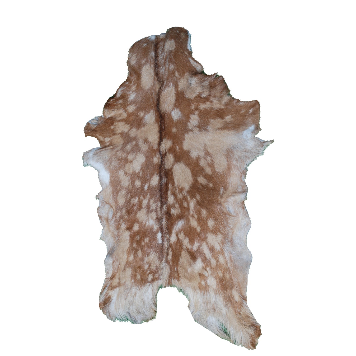 Premium Brown and White Goat Skin Rug - Genuine Hair-On Leather for Rustic Décor