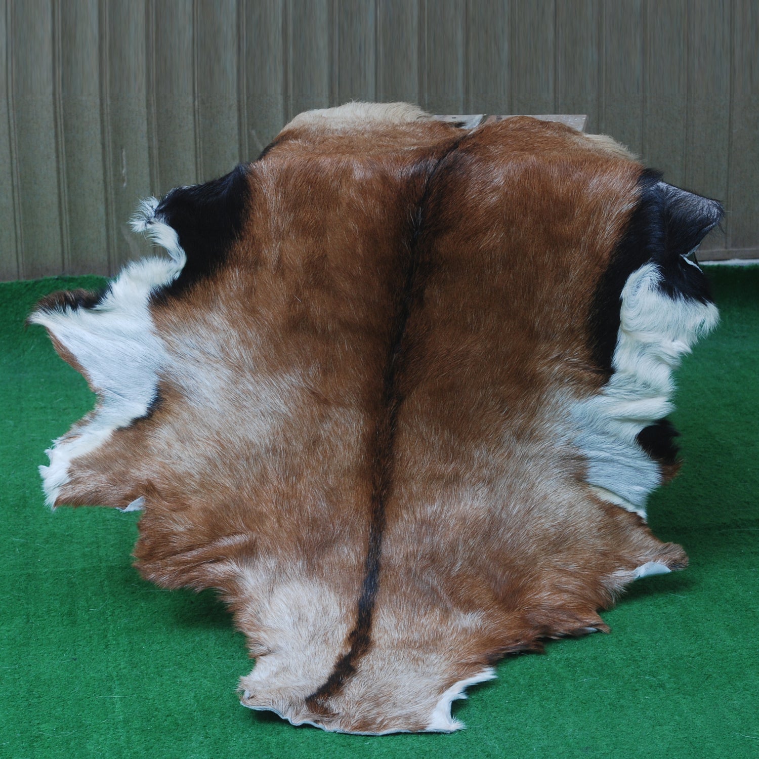 Goat Skin Rug: Tri-Color genuine Goat hide rug