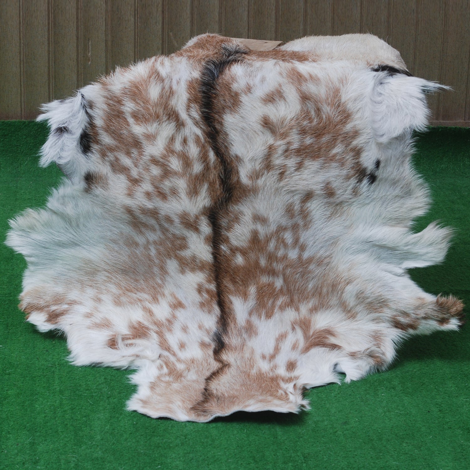 Premium Brown and White Goat Skin Rug - Genuine Hair-On Leather for Rustic Décor