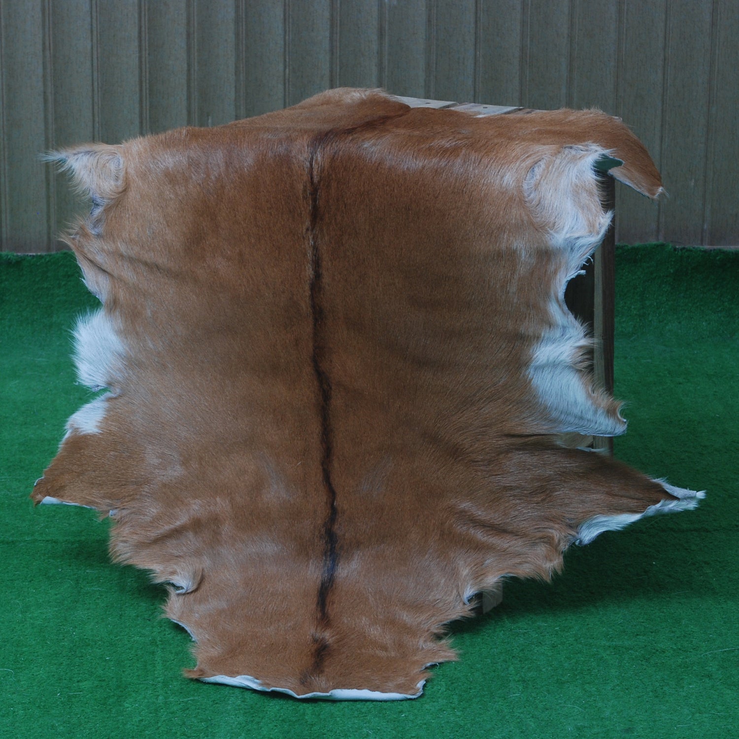 Luxury Brown & White Goat Hide Rug | Premium Hair-On Skin | Handpicked - Handcrafted | Non-Slip Suede Back | Sustainable - Eco-Friendly