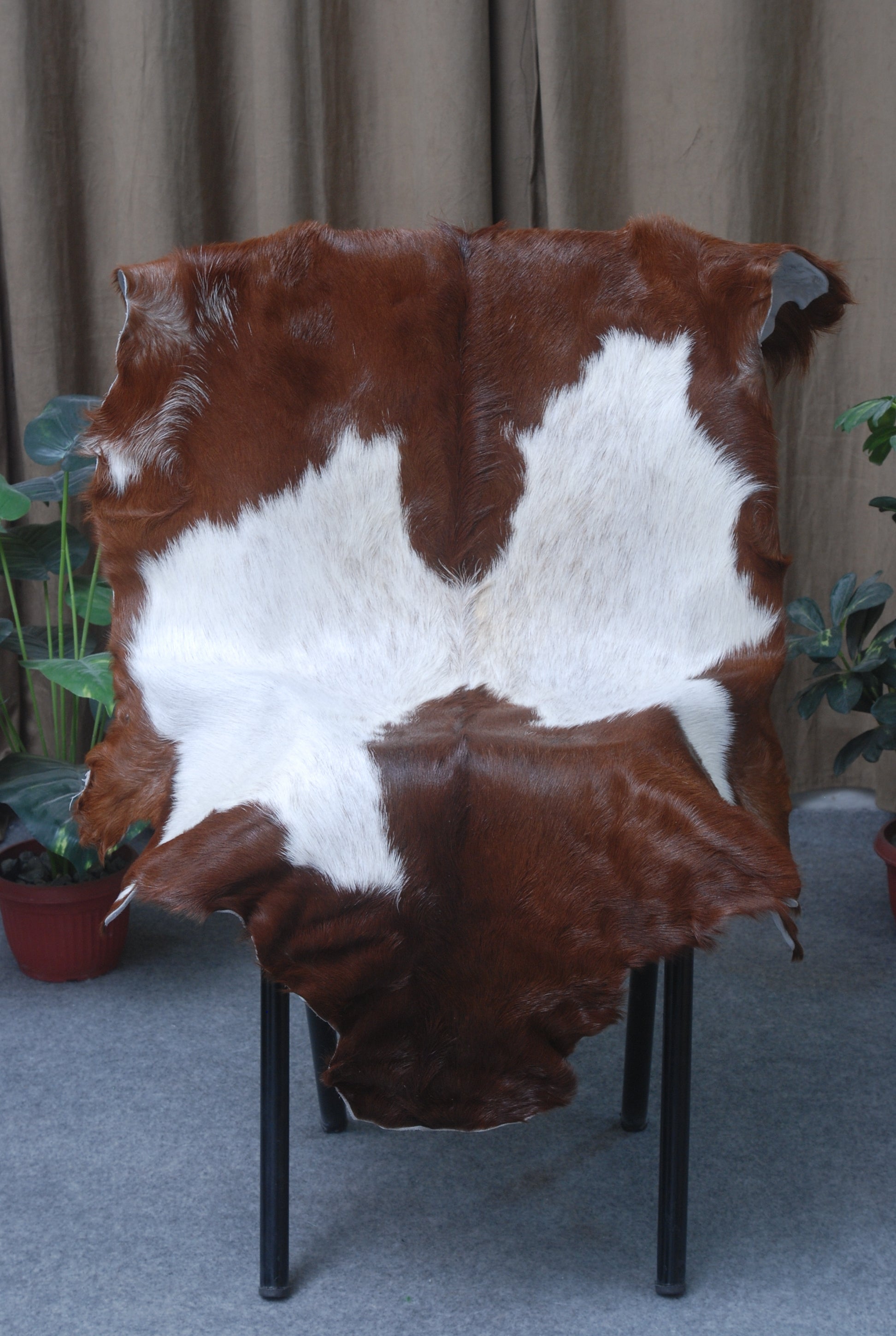 Luxury Brown & White Goat Hide Rug - Premium Hair-On Goat Skin Rug for Warmth - Elegance - Handcrafted - Sustainable Decor Piece