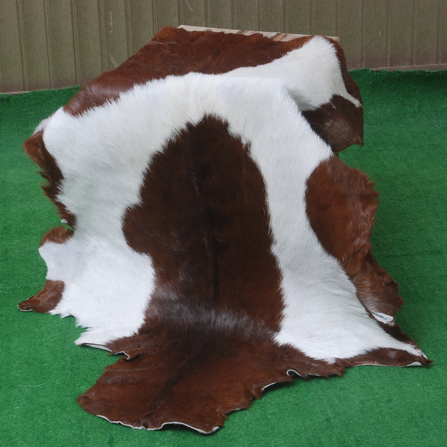 Elegant Dark Brown Goat Skin Rug - Natural Hair-On Accent for Floors or Walls