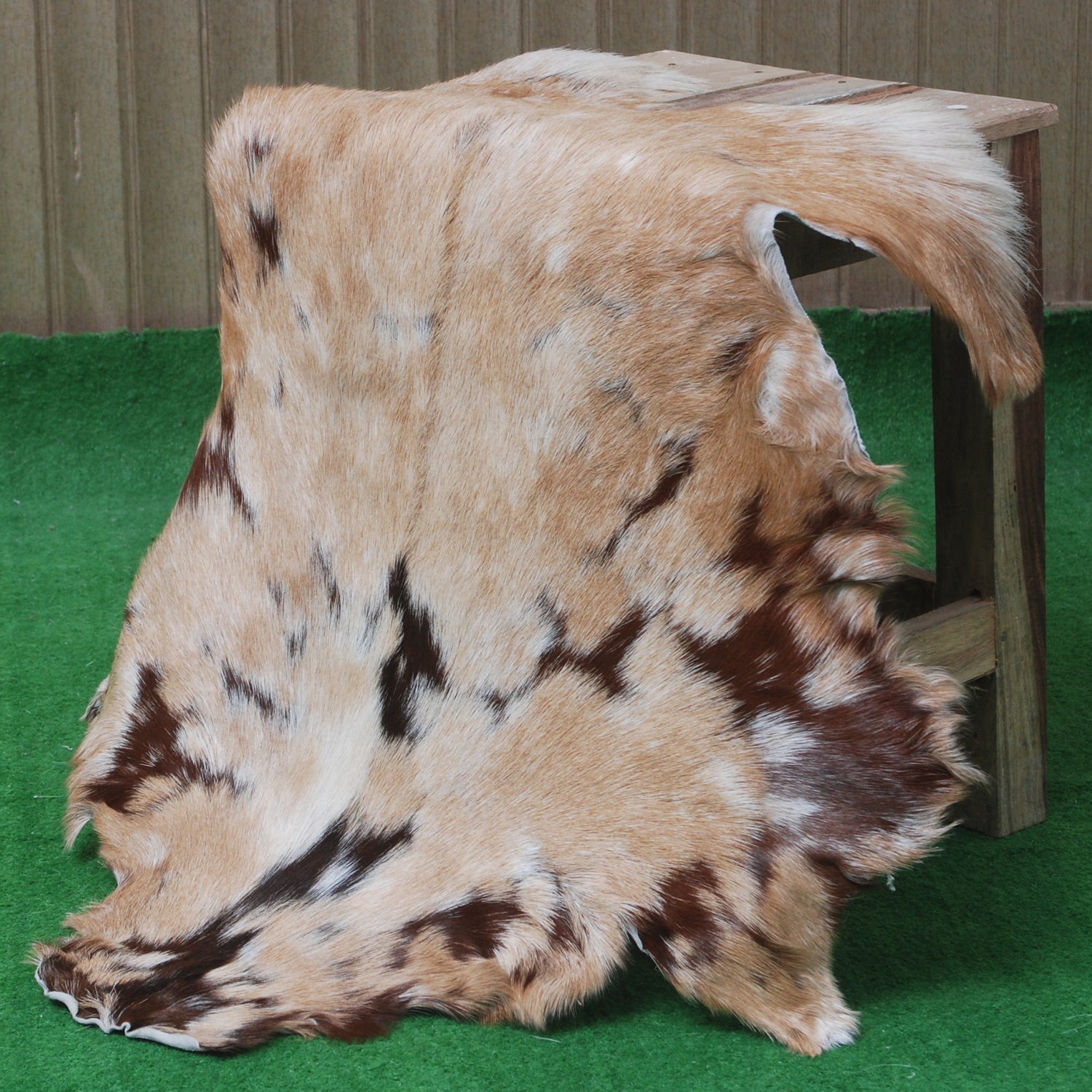 Goat Skin Rug: Tri-Color genuine Goat hide rug