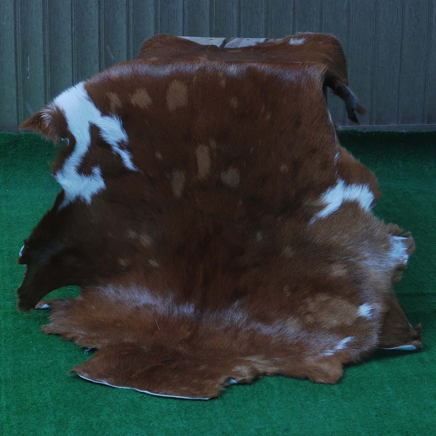 Authentic Hair-On Goat Skin Rug - Rich Dark Brown for Sophisticated Interiors