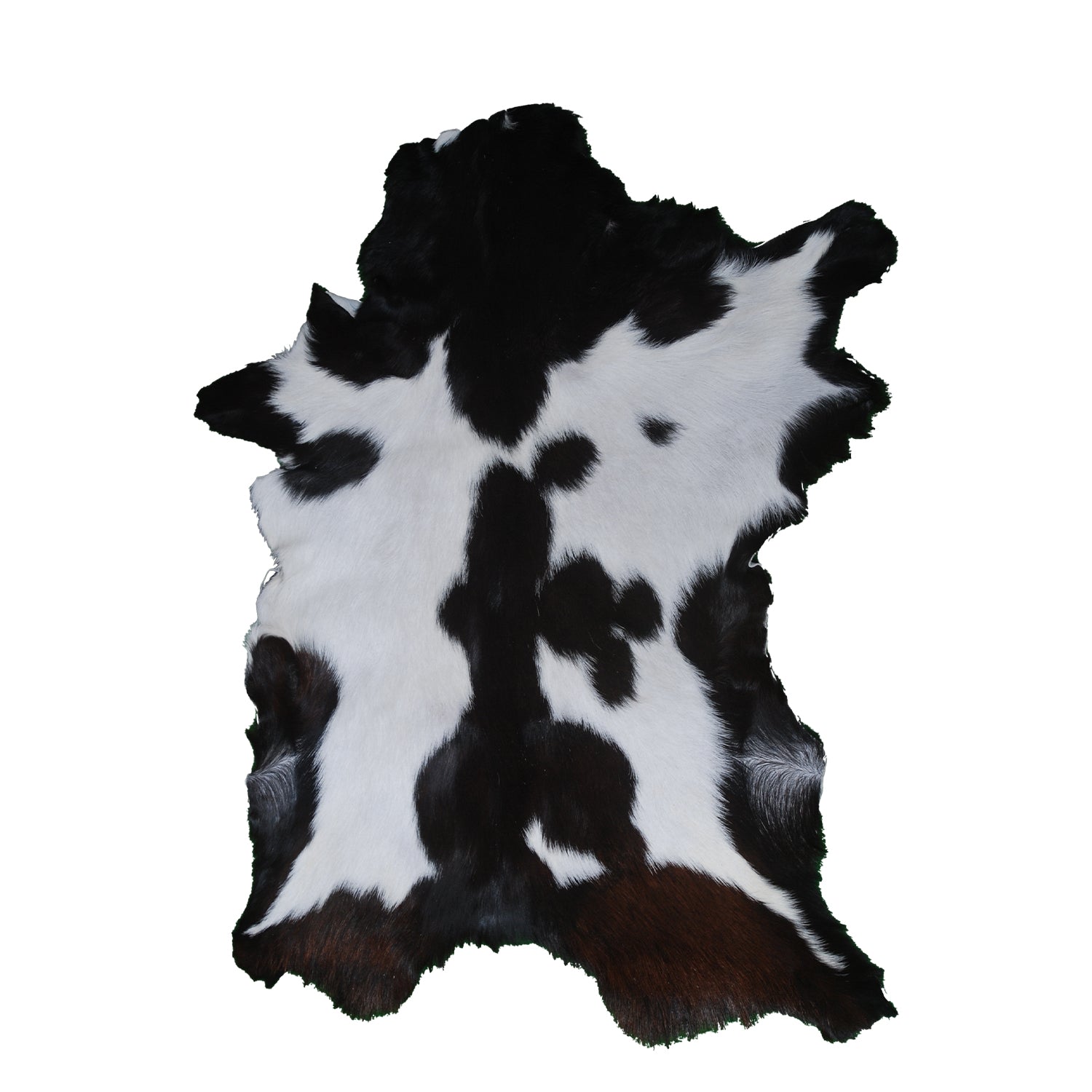 Goat Skin Rug, Goat skin rug ikea, Long Haired Goat Skin Rug, Goat skin rug amazon, Goat skin rug for sale, Best goat skin rug, Goat skin leather, Goat skin rug ikea review, Best goat rug, Fur Rug, Large goat rug ikea, Goat rug ikea price, White goat skin rug ikea, Goat rug ikea, Goat rug amazon, Long Haired Goat Skin Rug, Goat rug for sale