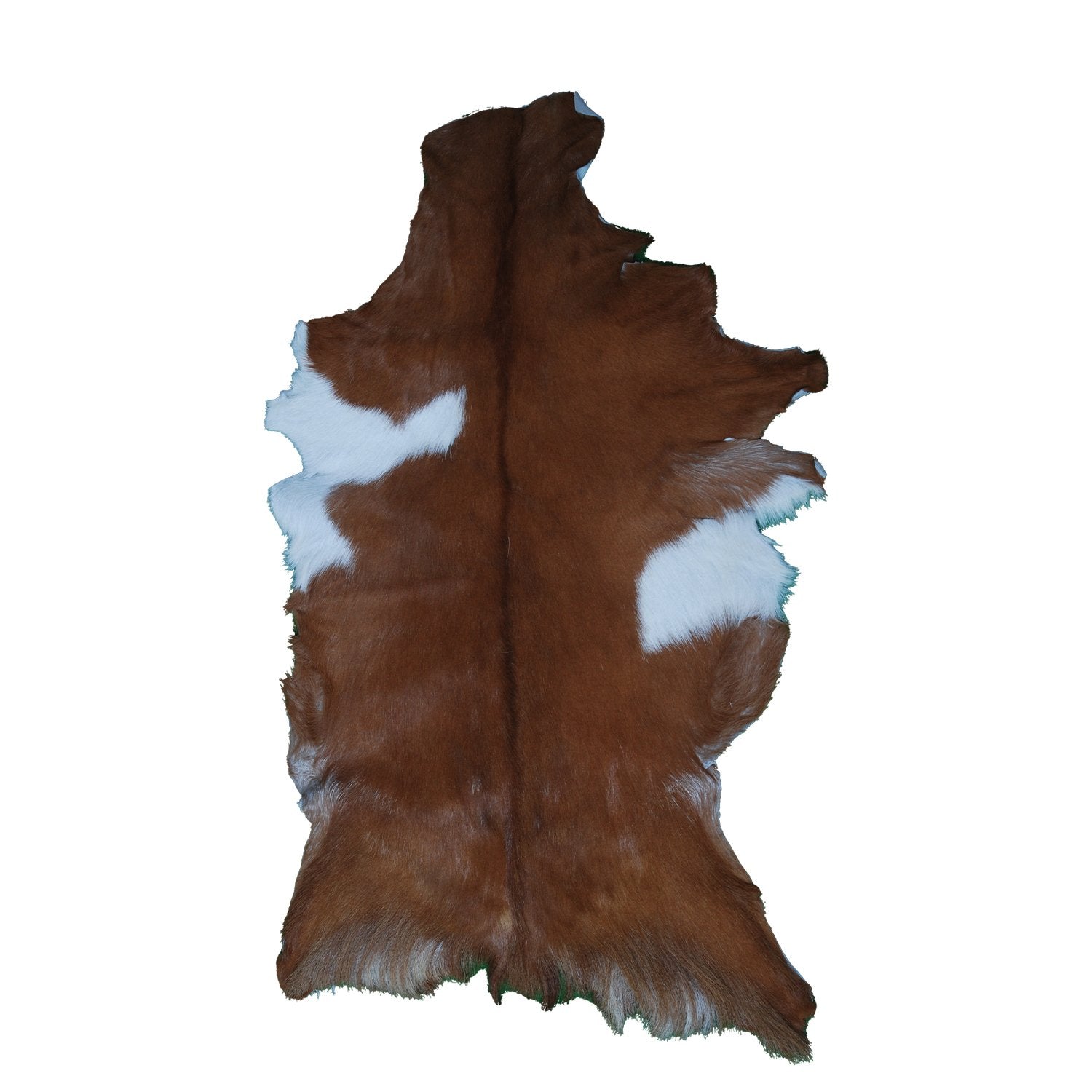 Luxury Brown & White Goat Hide Rug | Premium Hair-On Skin Rug for Home Decor - Celestial Leather Limited