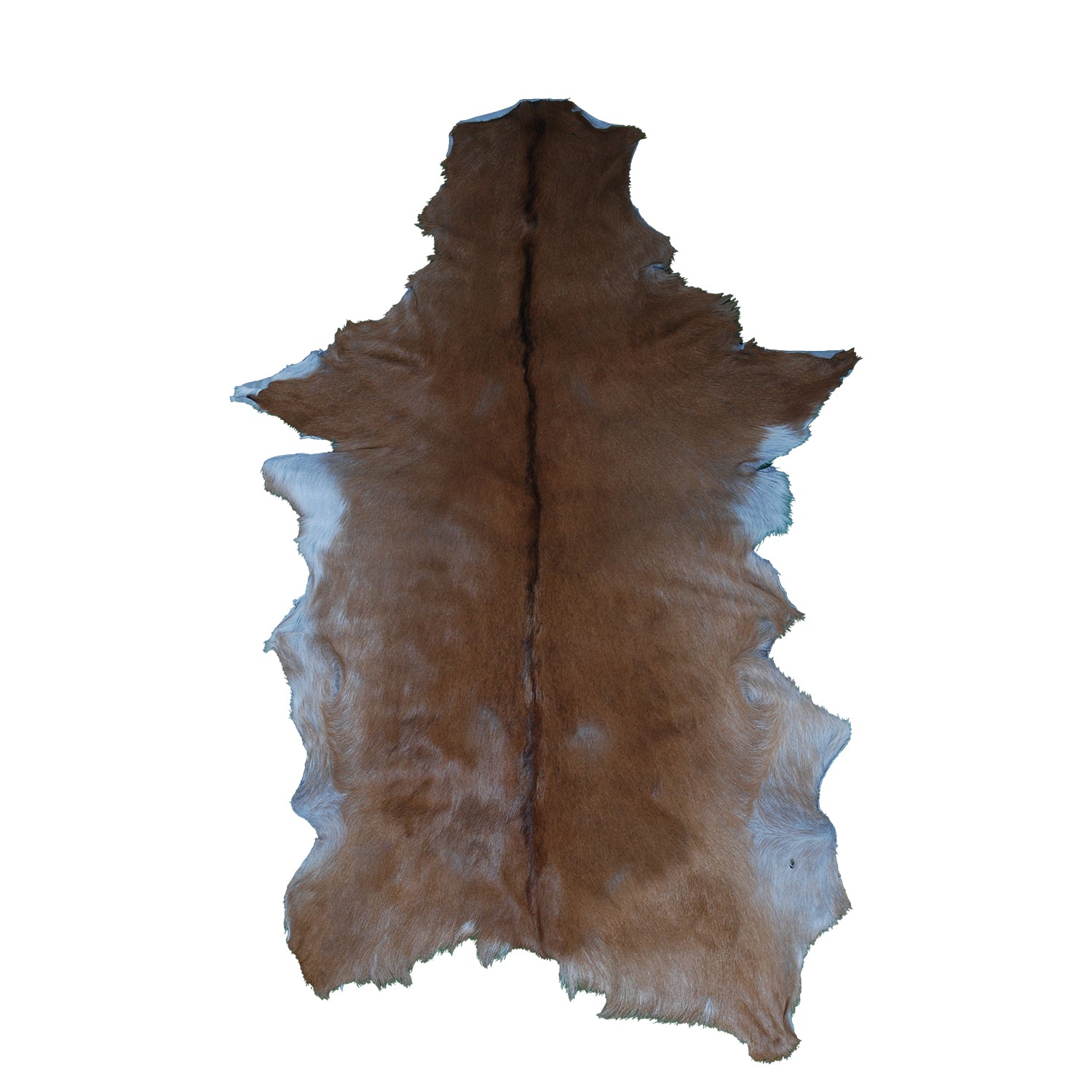 Luxury Brown & White Goat Hide Rug | Premium Hair-On Skin | Handpicked - Handcrafted | Non-Slip Suede Back | Sustainable - Eco-Friendly