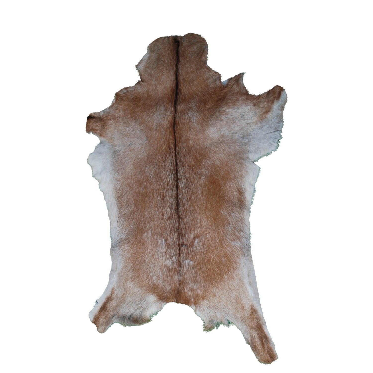 Luxurious Handpicked Brown & White Premium Goat Skin Rug - Eco-Friendly - Sustainable, Non-Slip Suede Back, Hypoallergenic - Timeless