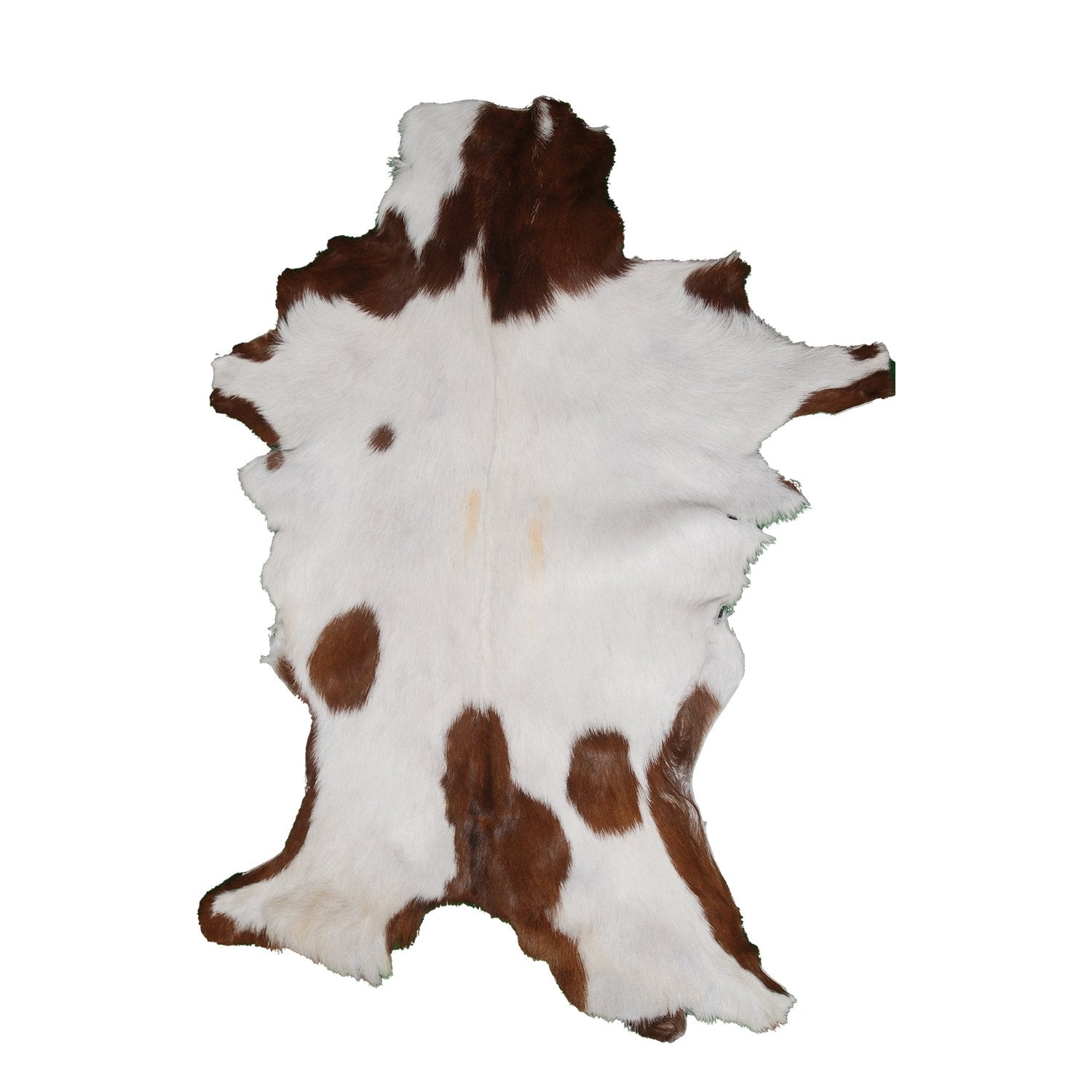 Goat Skin Rug, Goat skin rug ikea, Long Haired Goat Skin Rug, Goat skin rug amazon, Goat skin rug for sale, Best goat skin rug, Goat skin leather, Goat skin rug ikea review, Best goat rug, Fur Rug, Large goat rug ikea, Goat rug ikea price, White goat skin rug ikea, Goat rug ikea, Goat rug amazon, Long Haired Goat Skin Rug, Goat rug for sale