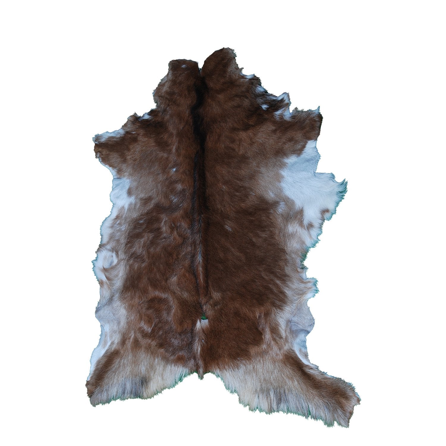 Luxury Brown and White Genuine Goat Hide Rug - Premium 100% Natural Hair-On Goat Skin Rug - Handcrafted and Sustainable Home Decor - Celestial Leather Limited