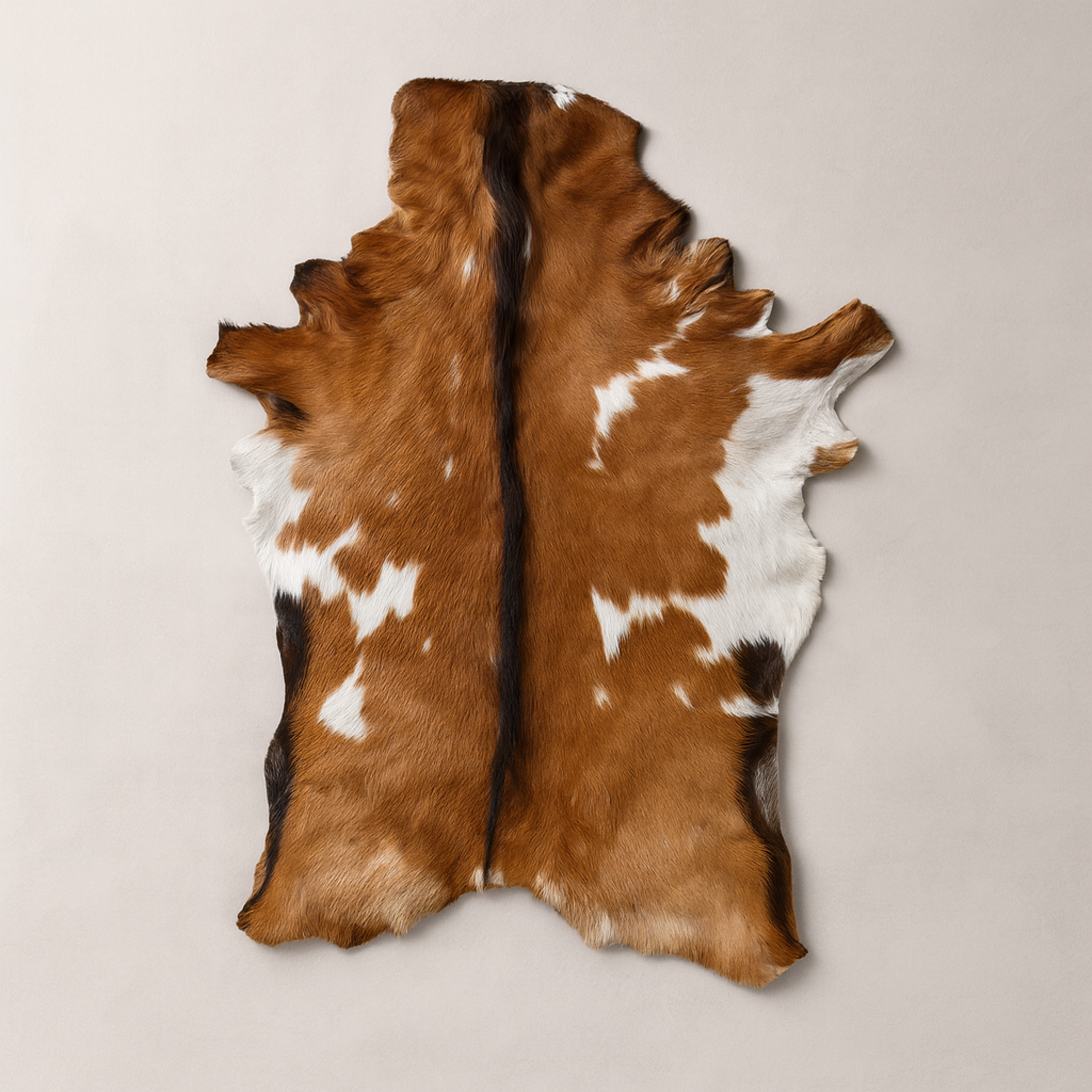 Authentic Dark Brown Goat Hide Rug - Rich Color and Unique Pattern for Home Styling