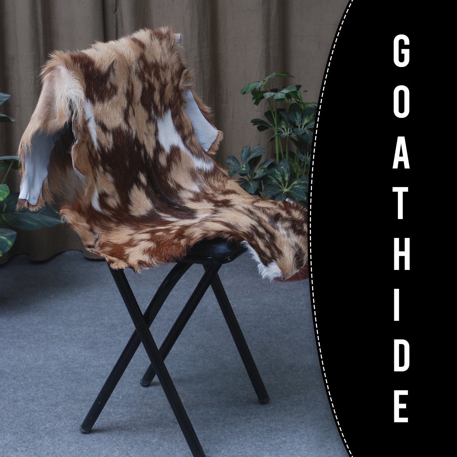 Goat Skin Rug: Tri-Color genuine Goat hide rug