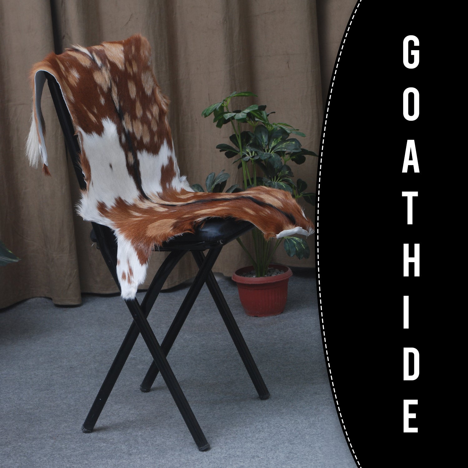Goat Skin Rug: Tri-Color genuine Goat hide rug