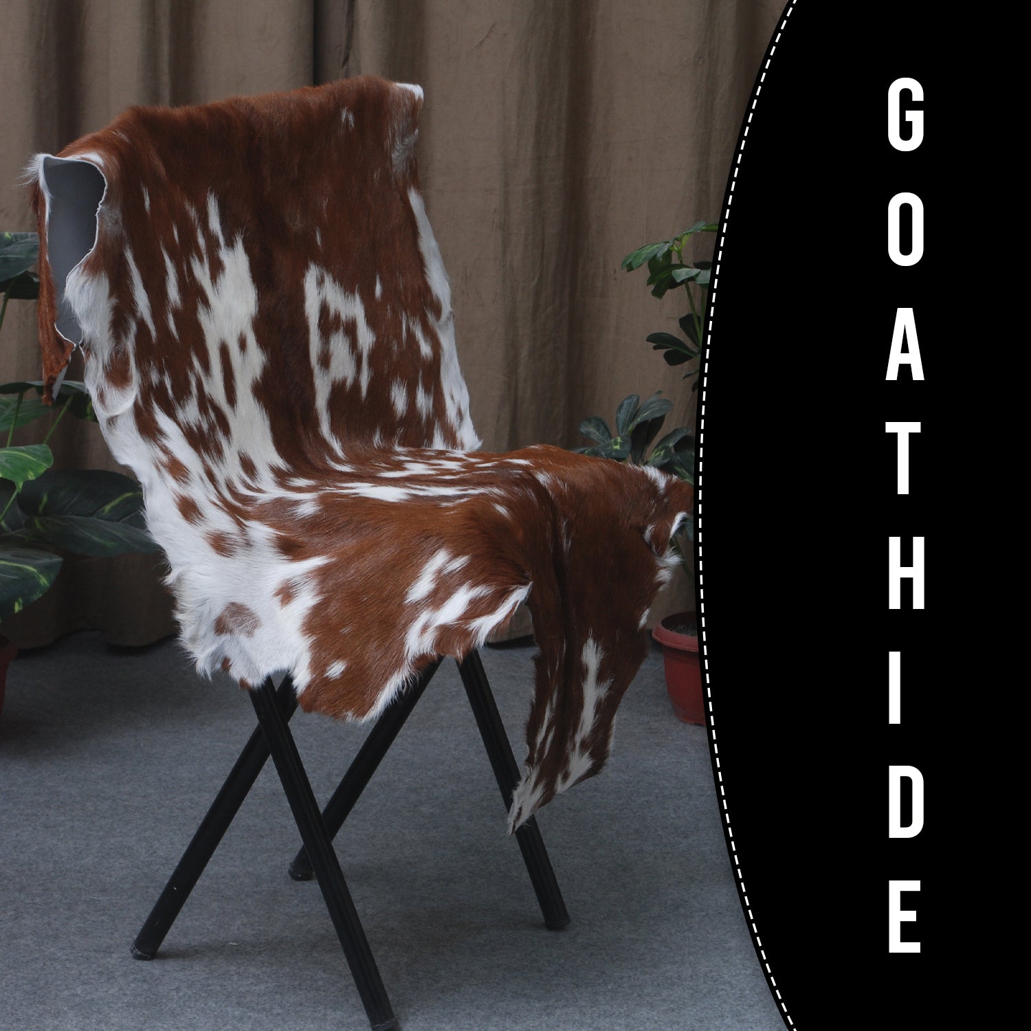 Goat Skin Rug: Dark Brown and white genuine Goat hide rug