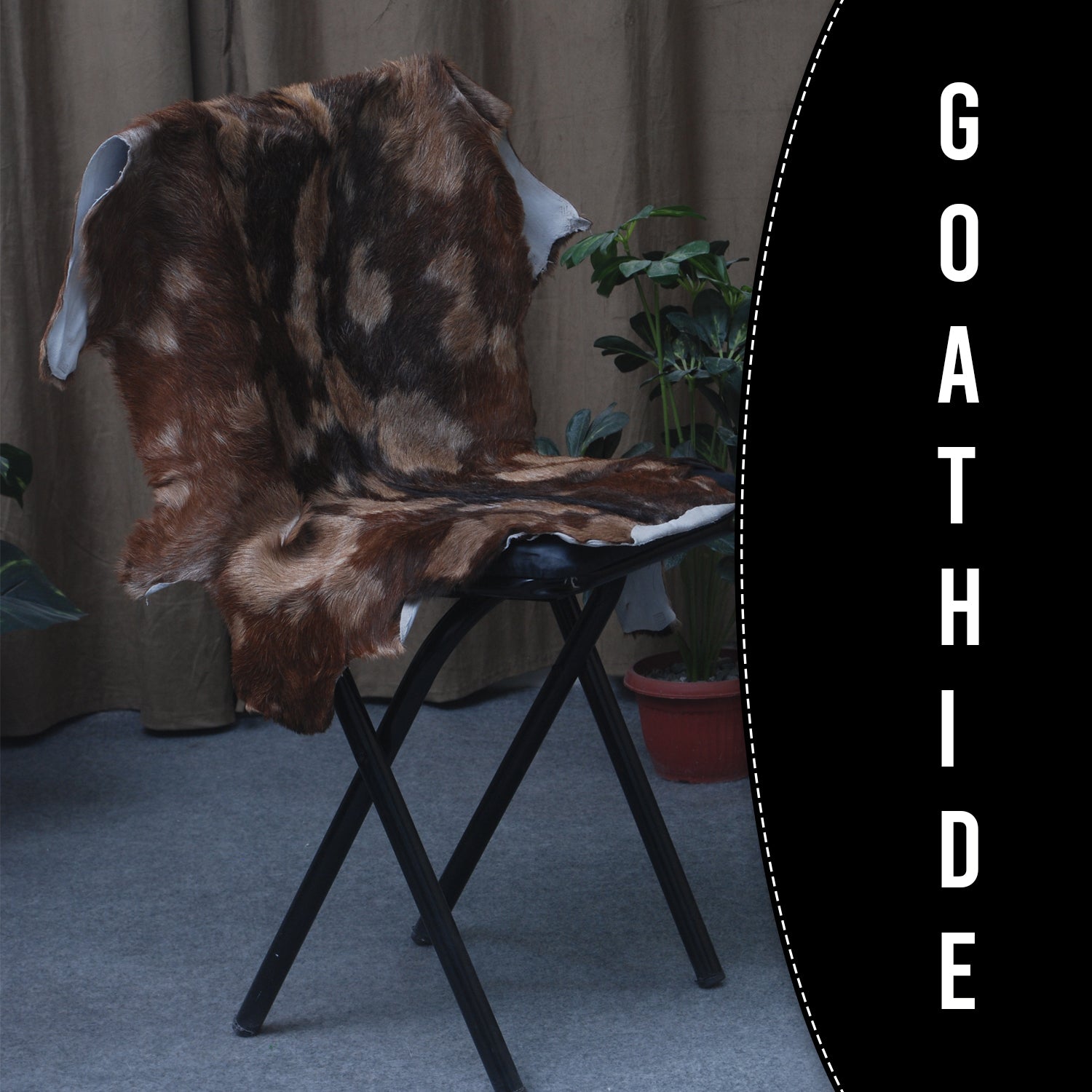 Goat Skin Rug: Tri-Color genuine Goat hide rug