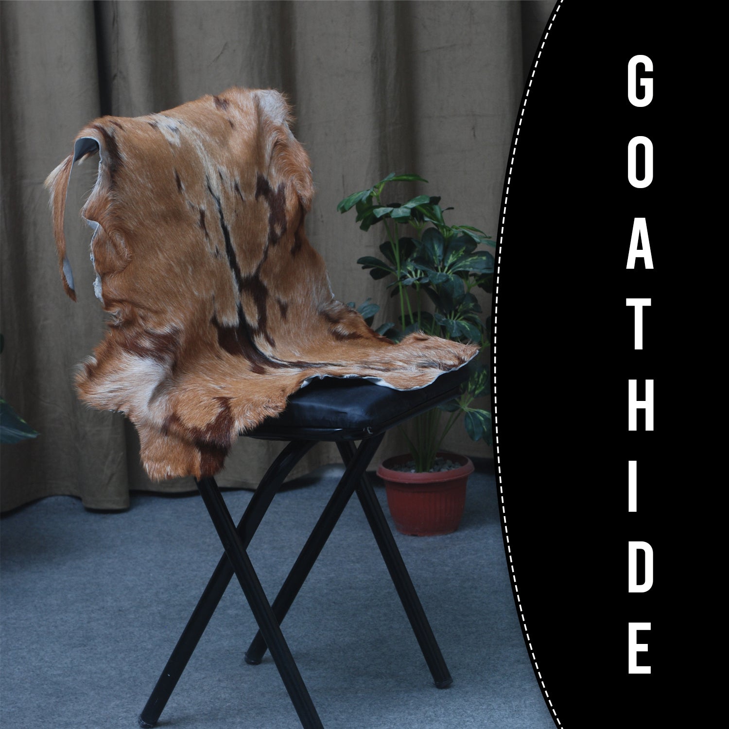 Goat Skin Rug: Tri-Color genuine Goat hide rug