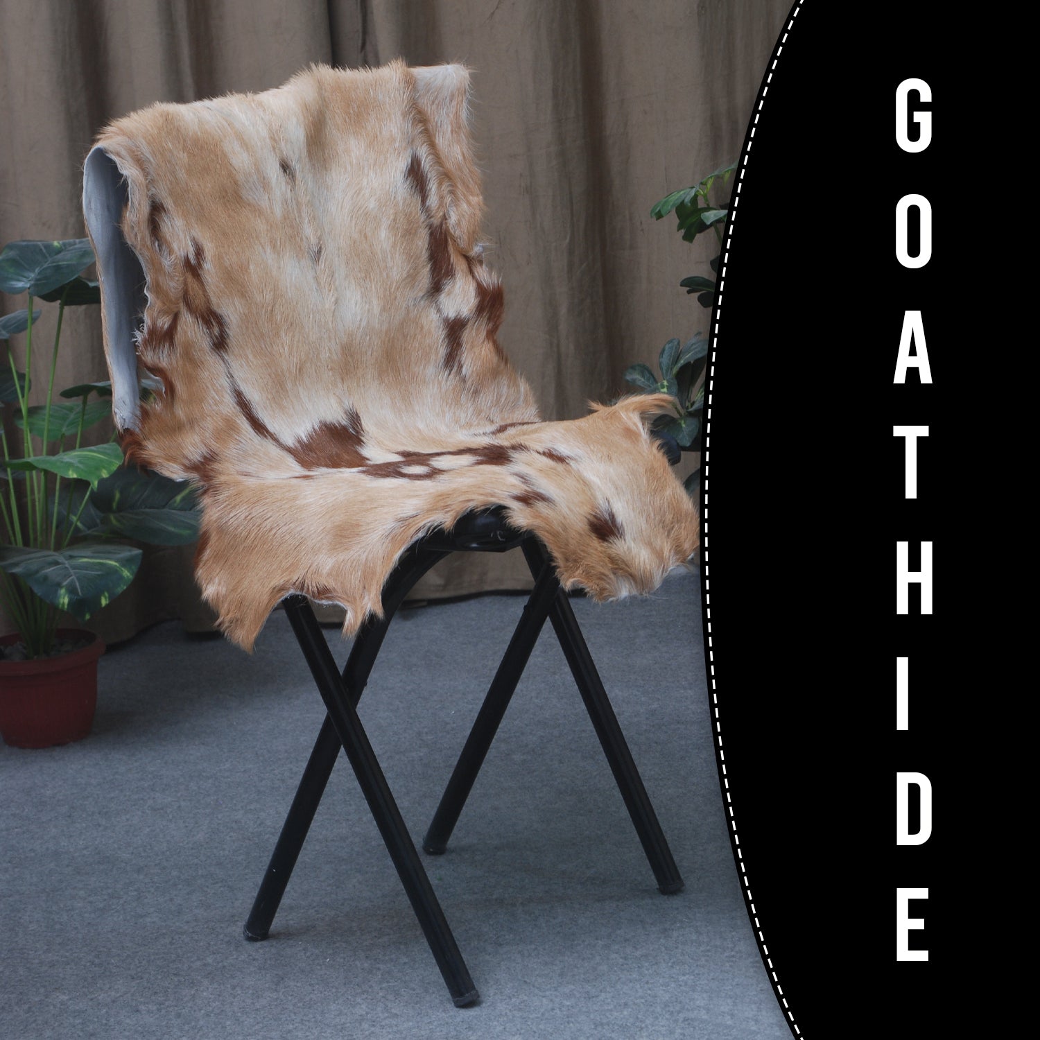 Goat Skin Rug: Tri-Color genuine Goat hide rug