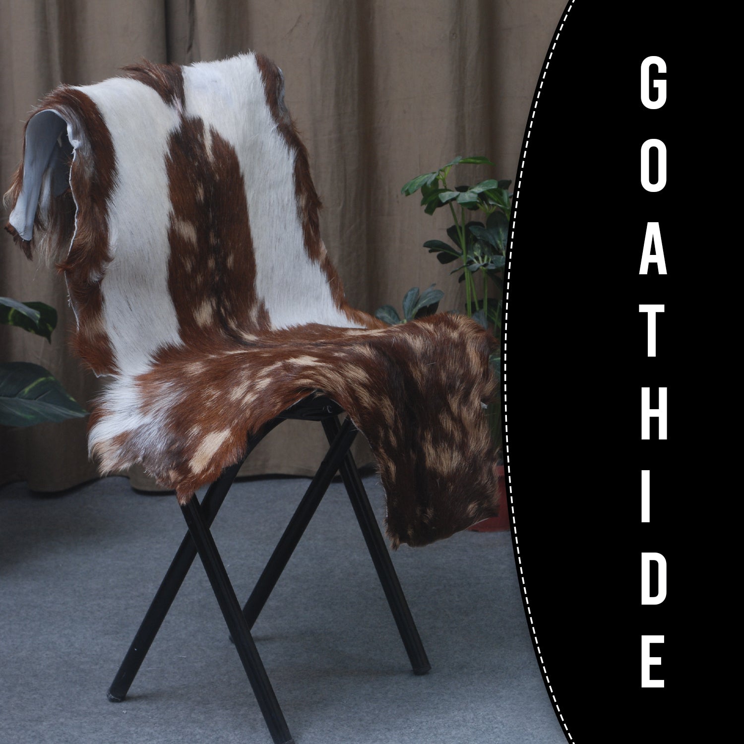 Goat Skin Rug: Tri-Color genuine Goat hide rug