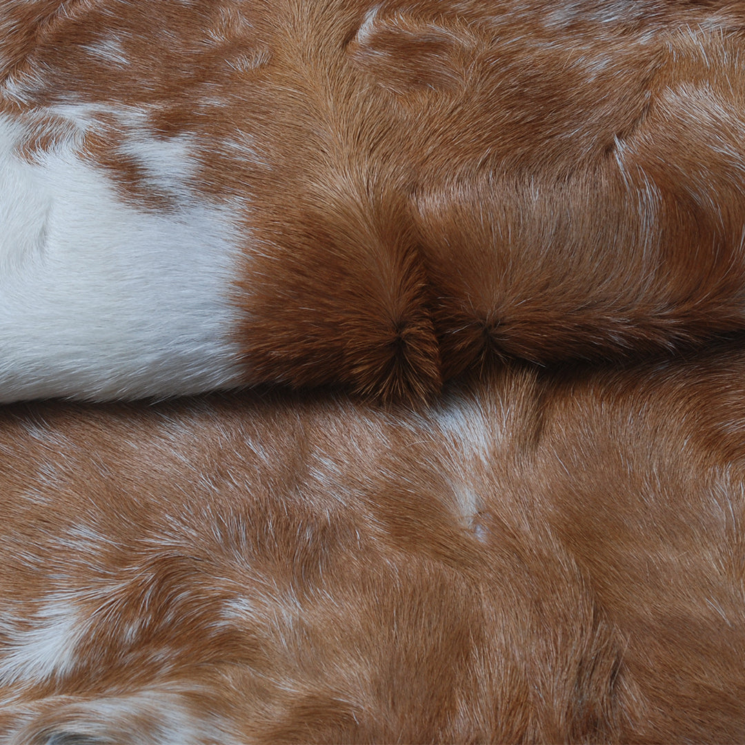 Luxury Brown & White Goat Hide Rug - Premium Hair-On Goat Skin Rug for Home Decor - Accent Pieces - Eco-Friendly and Hypoallergenic Rug - Celestial Leather Limited