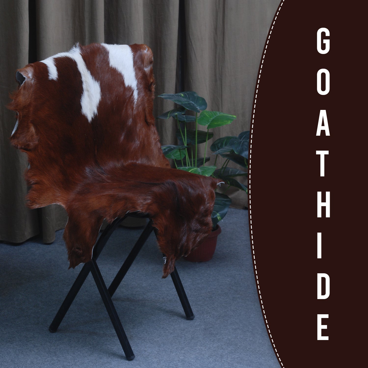 Luxurious Dark brown & White Goat Skin Rug Hide Floor Decoration - Celestial Leather Limited