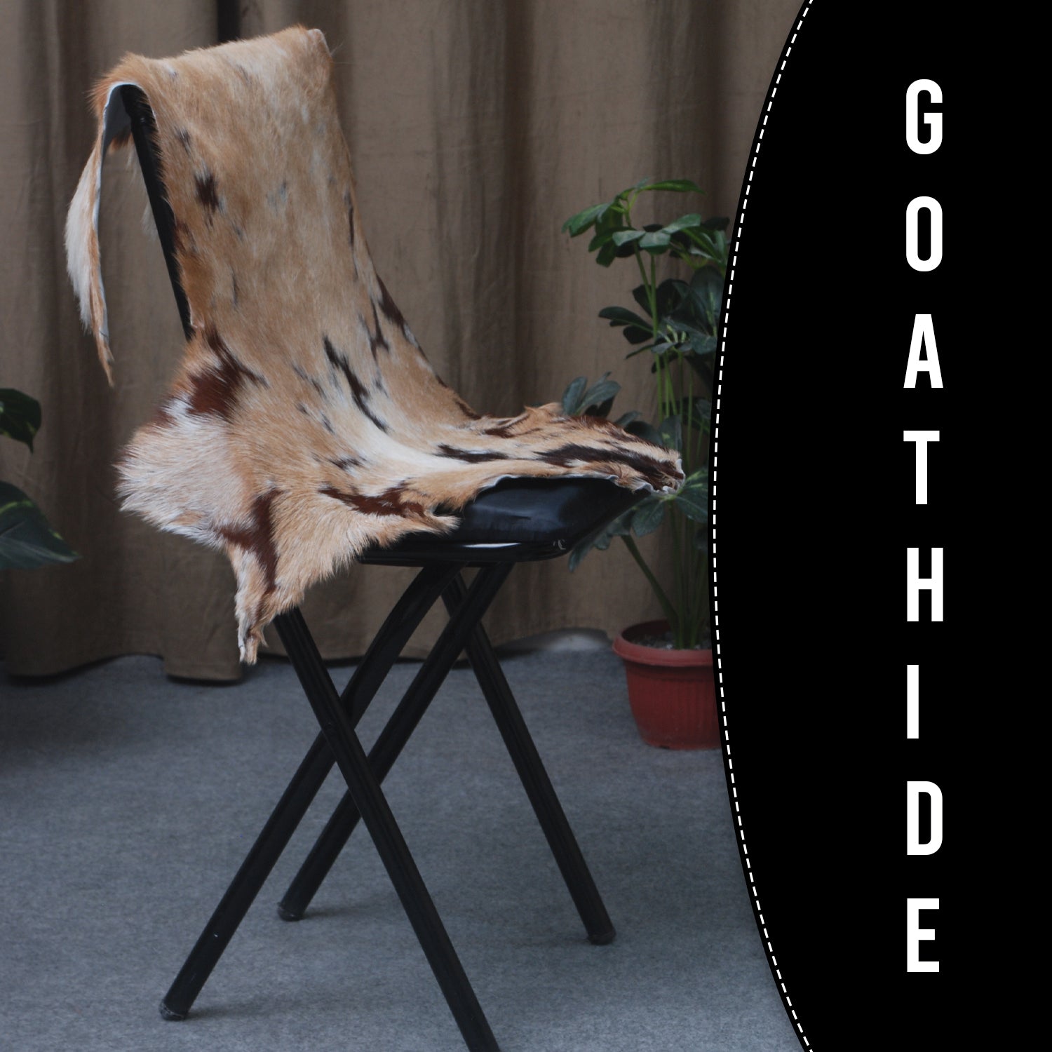 Goat Skin Rug: Tri-Color genuine Goat hide rug