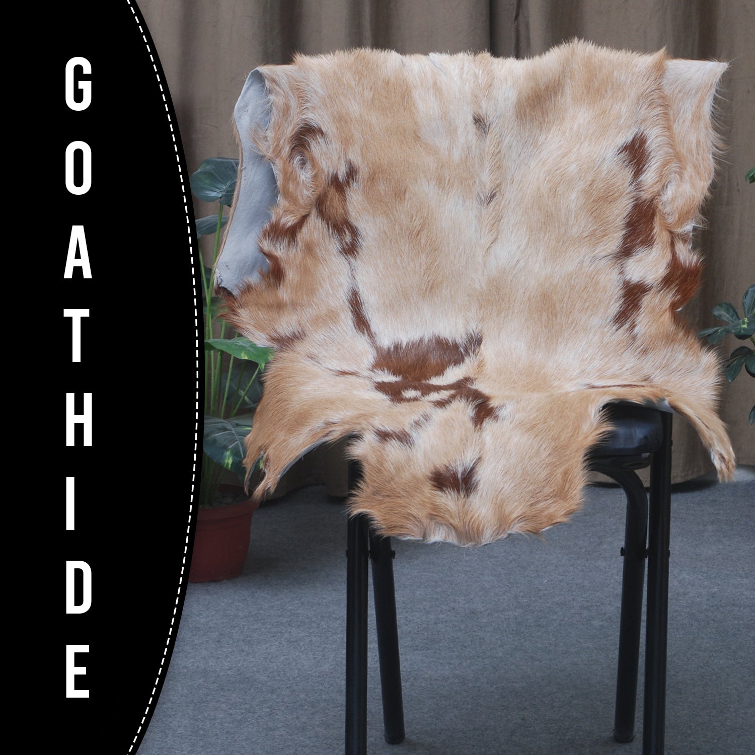 Goat Skin Rug: Tri-Color genuine Goat hide rug