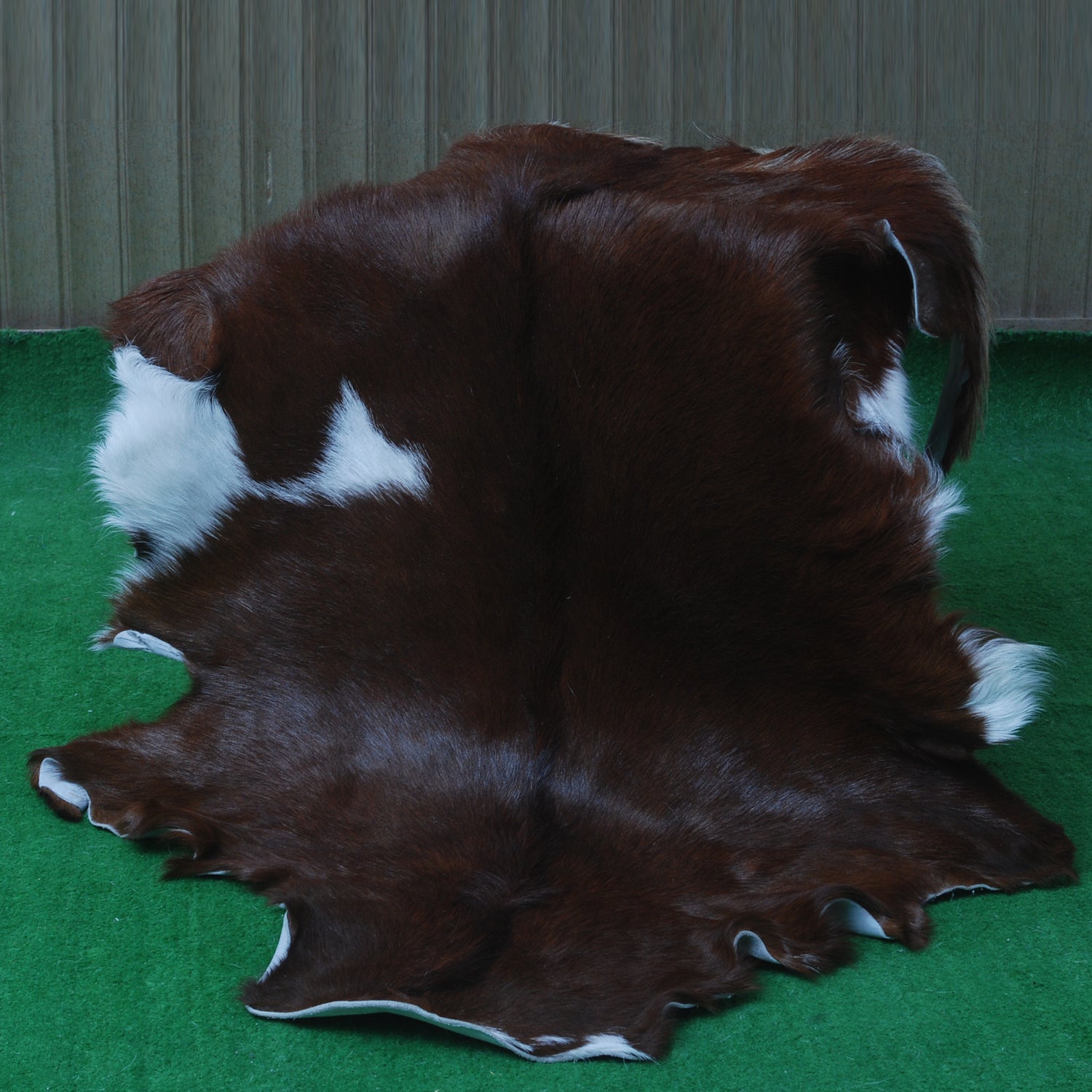Elegant Dark Brown Goat Skin Rug - Natural Hair-On Accent for Floors or Walls