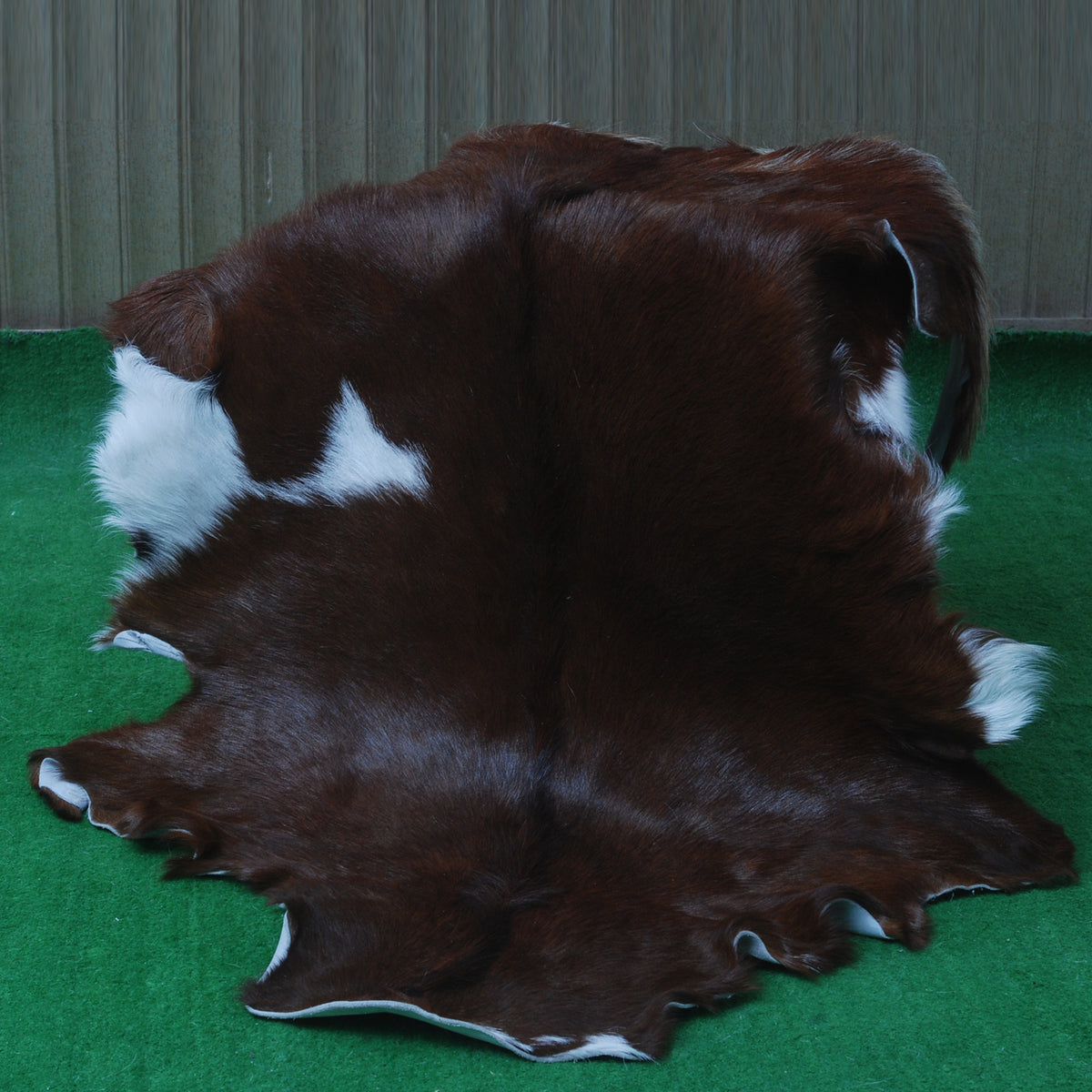 Elegant Dark Brown Goat Skin Rug - Natural Hair-On Accent for Floors or Walls