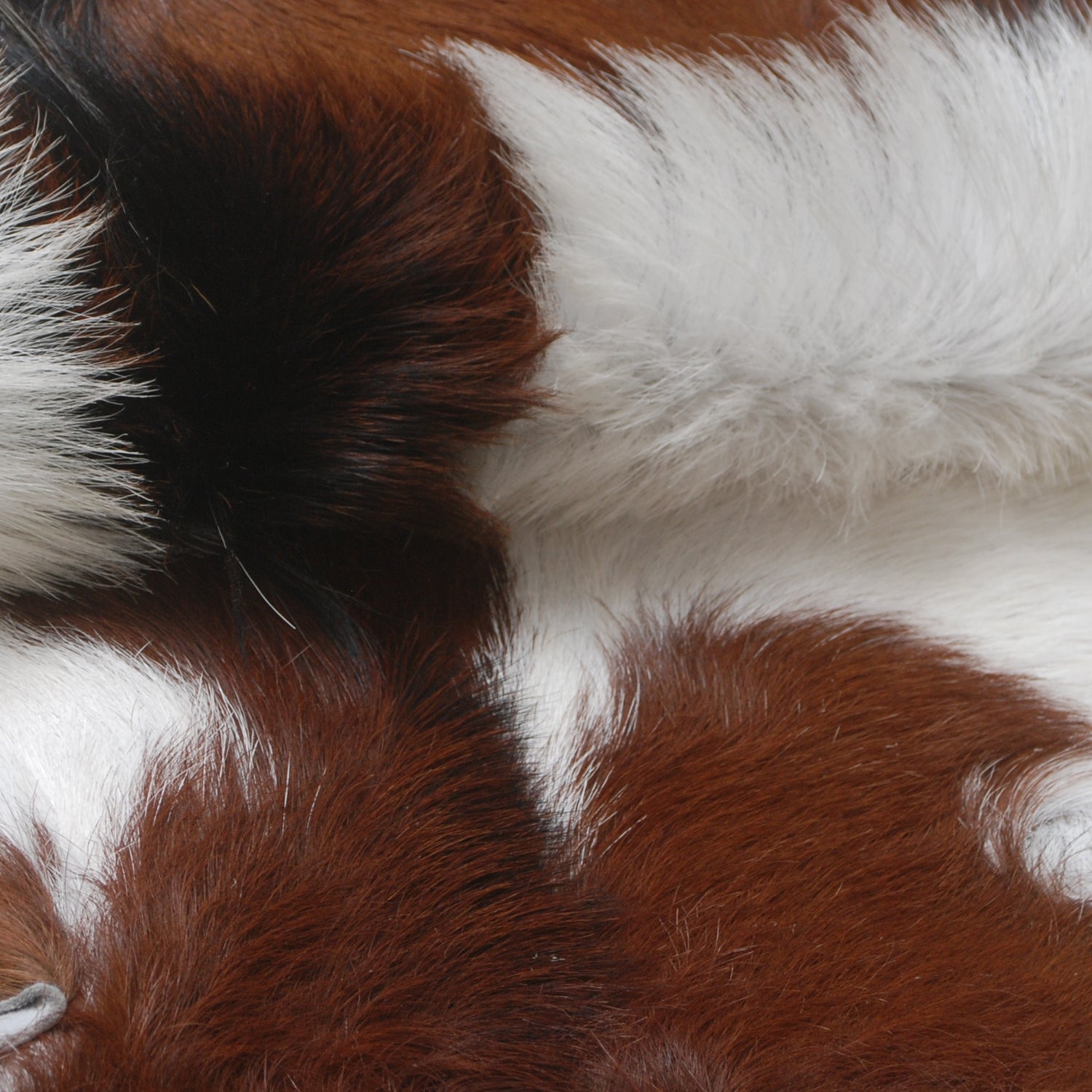 Natural Hair-On Dark Brown Goat Skin Rug - Elegant and Durable for Any Room