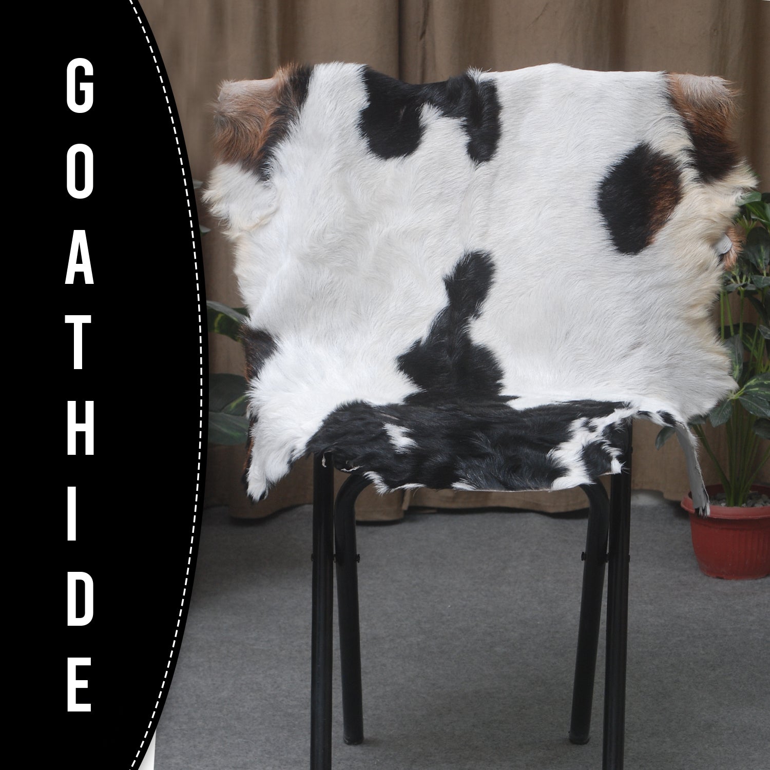 Goat Skin Rug: Tri-Color genuine Goat hide rug
