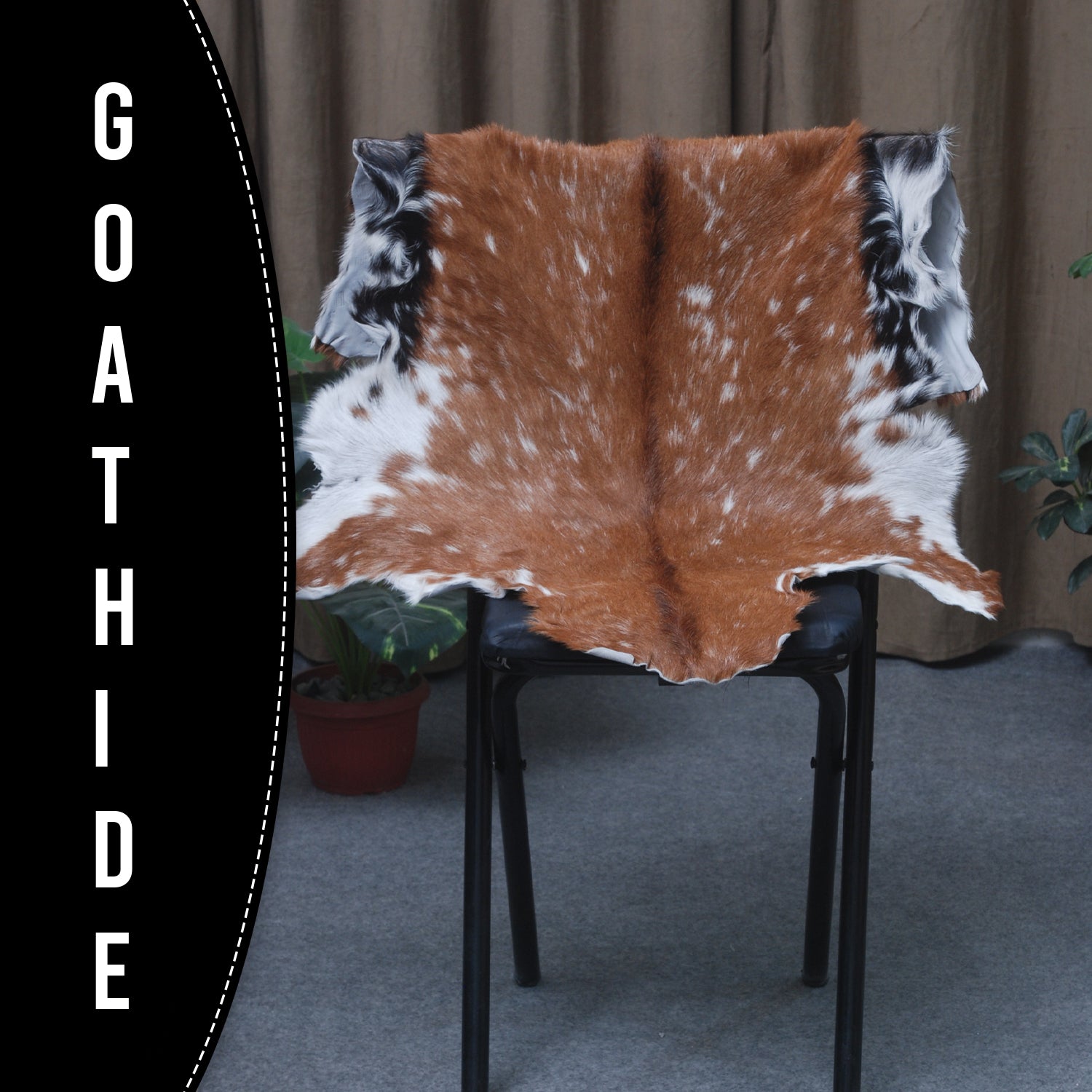 Goat Skin Rug: Tri-Color genuine Goat hide rug