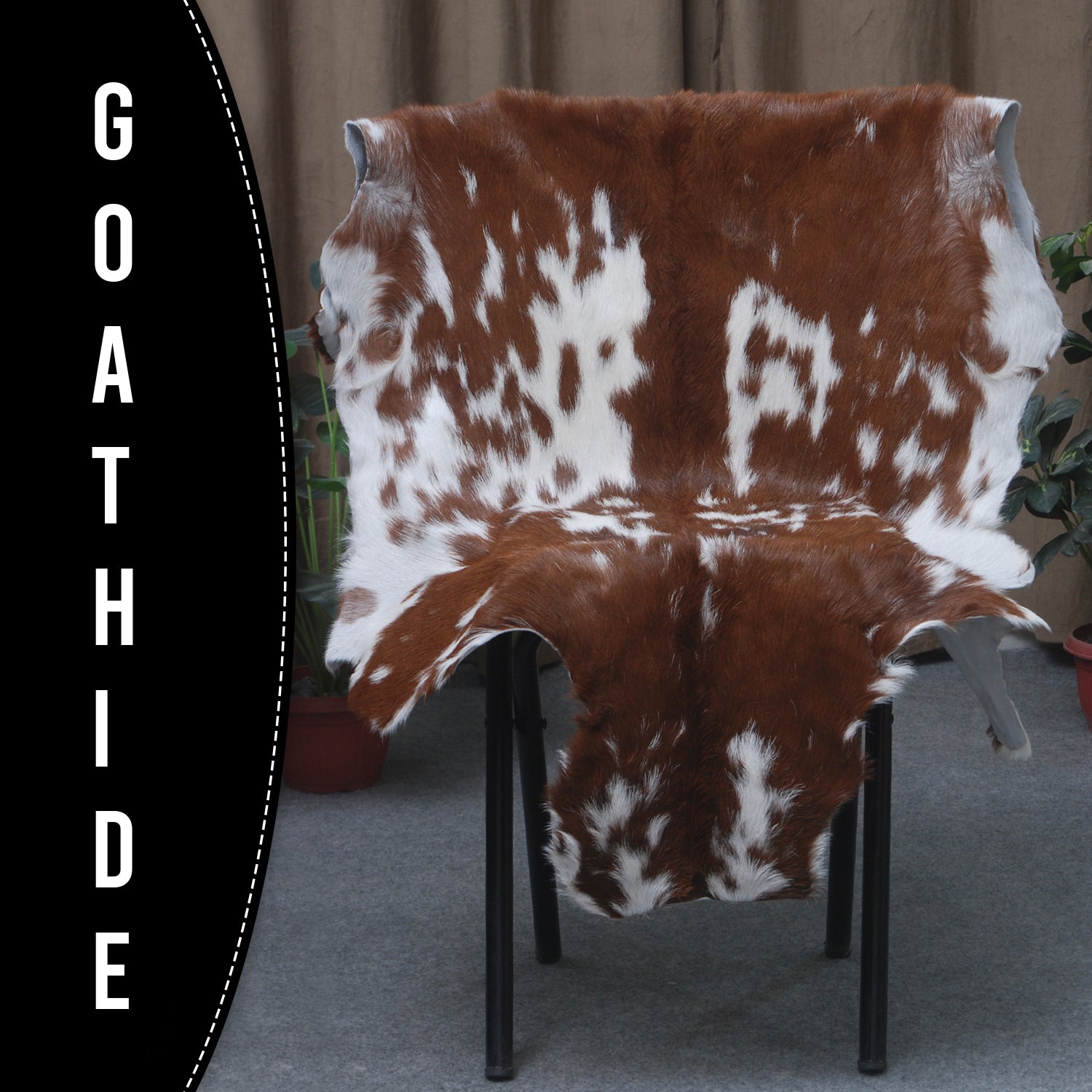 Goat Skin Rug: Dark Brown and white genuine Goat hide rug