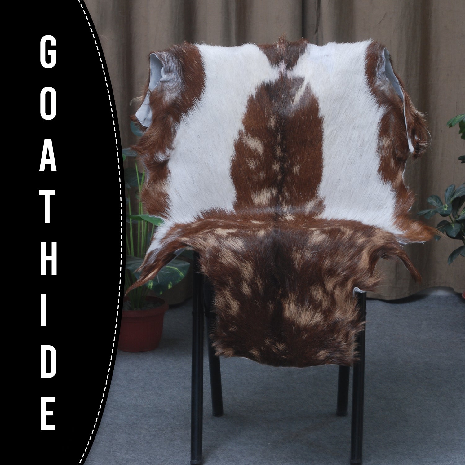Goat Skin Rug: Tri-Color genuine Goat hide rug