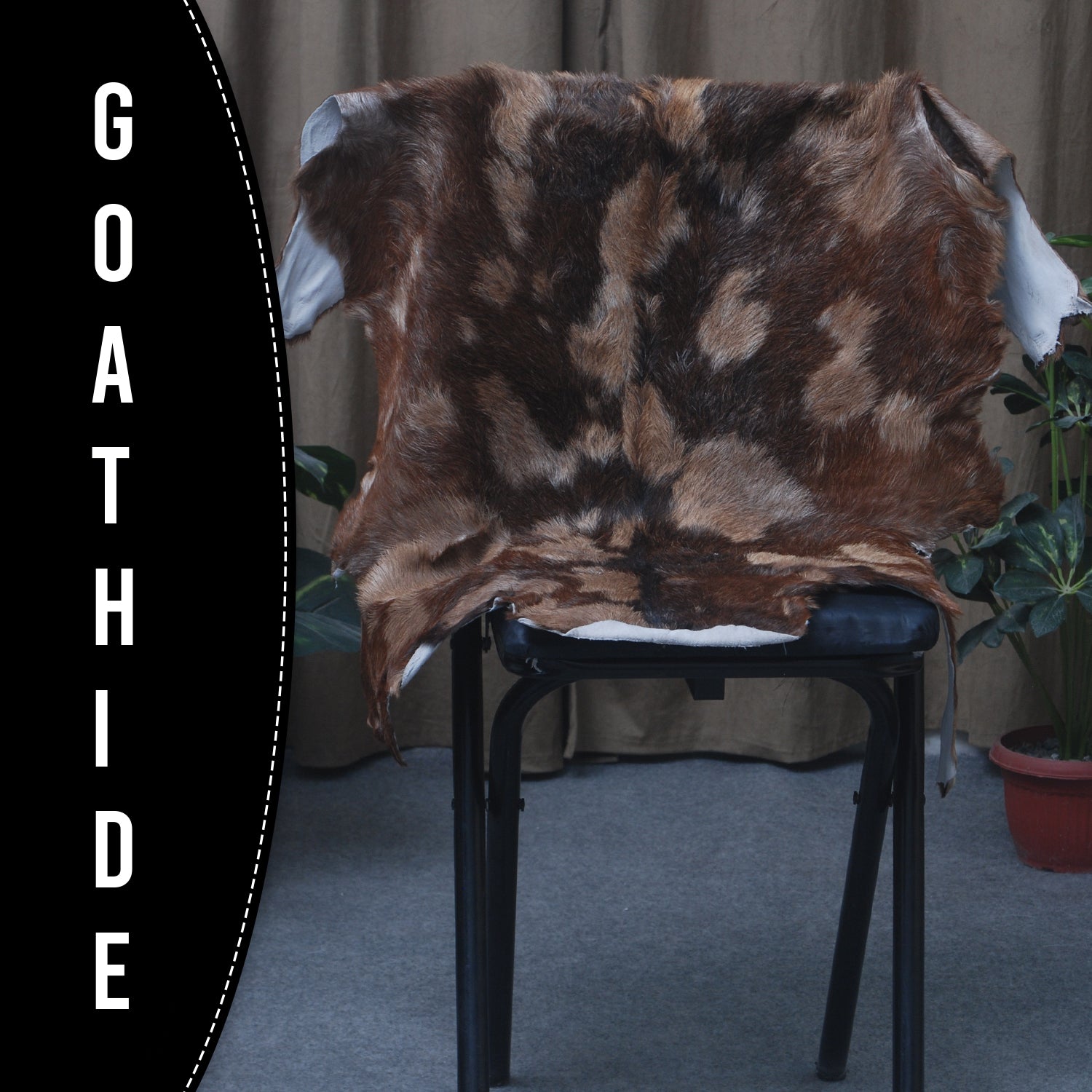 Goat Skin Rug: Tri-Color genuine Goat hide rug
