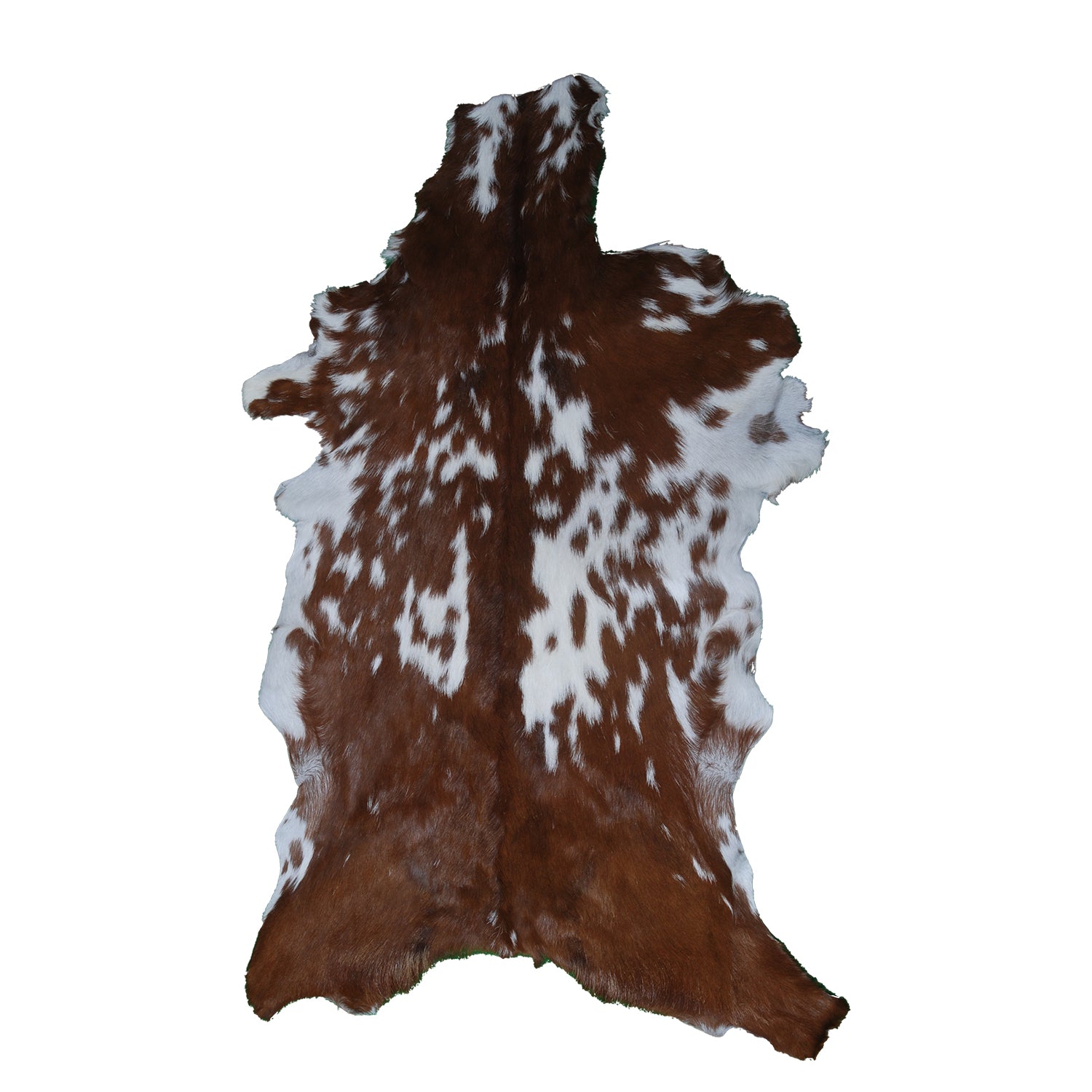 Goat Skin Rug: Dark Brown and white genuine Goat hide rug
