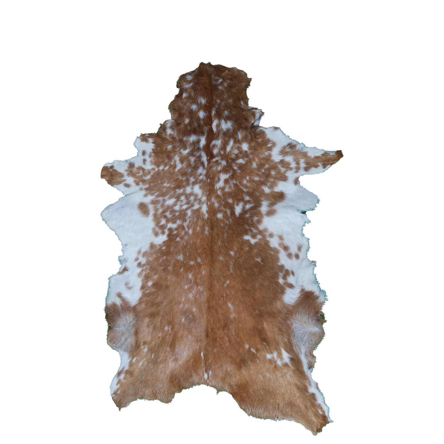 Premium Brown and White Goat Skin Rug - Genuine Hair-On Leather for Rustic Décor