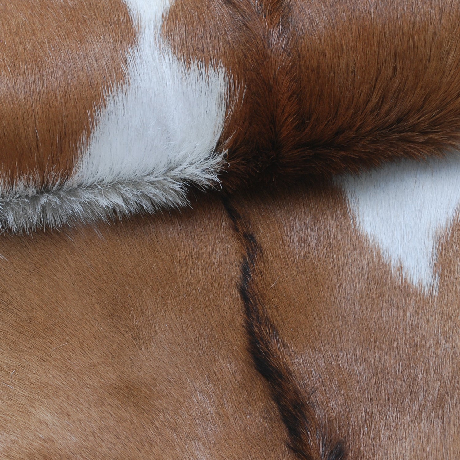 Decorative Brown and White Goat Hide Rug - Perfect for Floor or Wall Accents