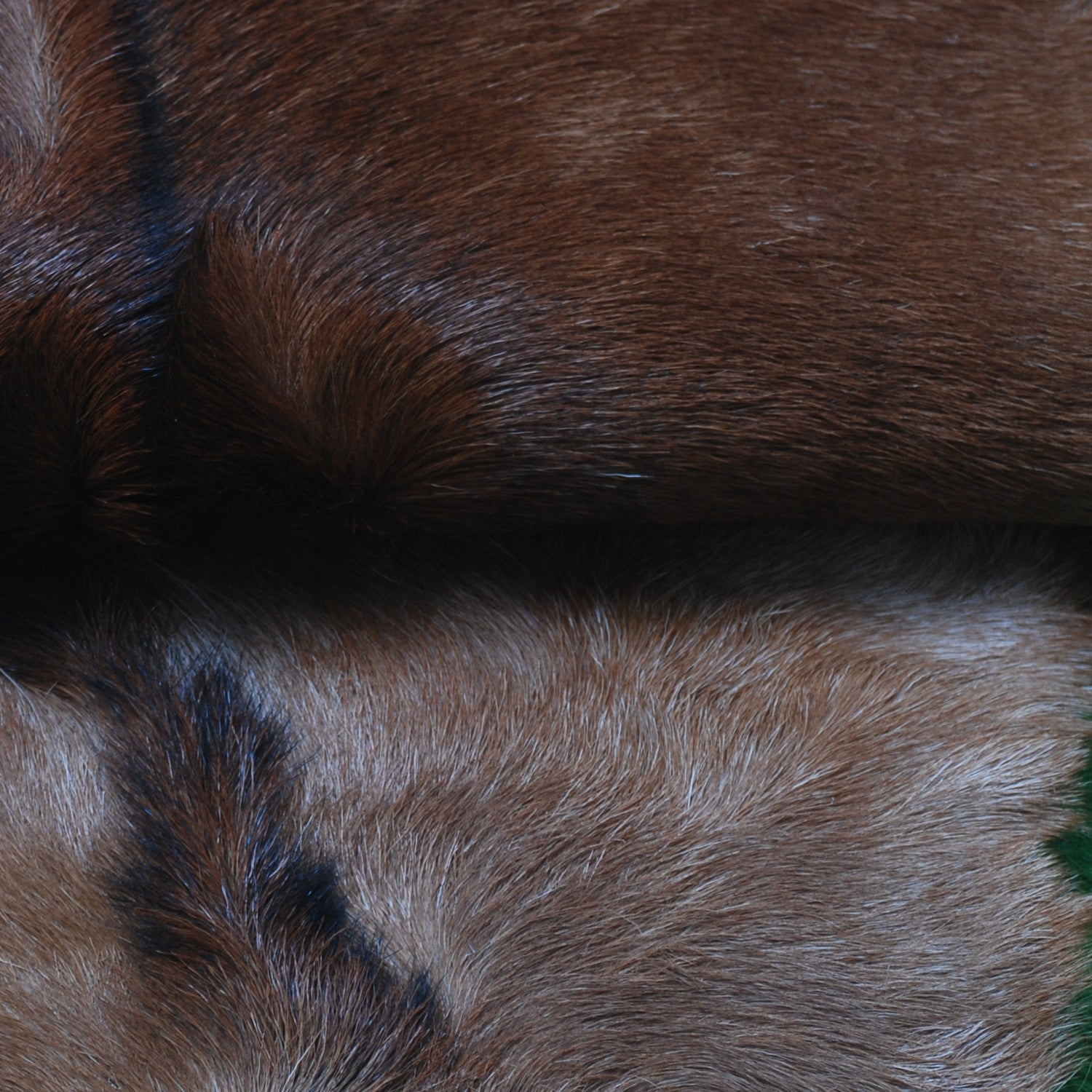 Authentic Dark Brown Goat Hide Rug - Unique Pattern for Modern and Classic Décor