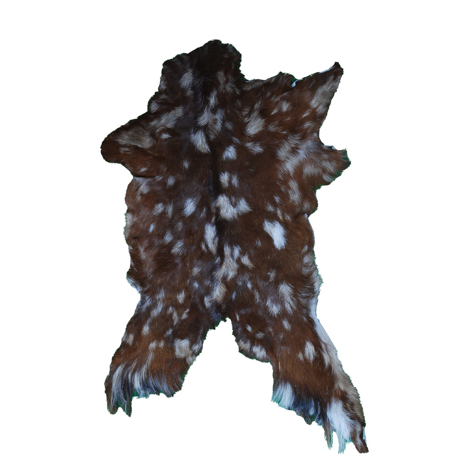 Premium Dark Brown Goat Skin Rug - Durable and Stylish Accent for Any Room