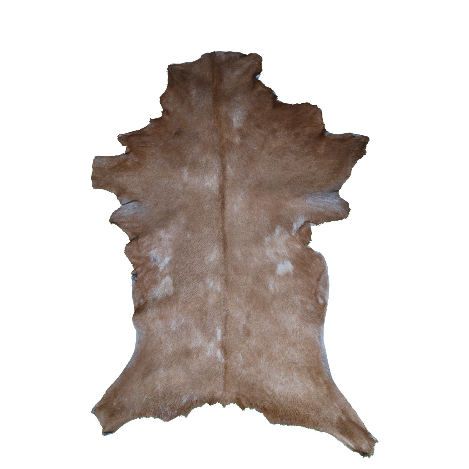Luxurious Brown and White Goat Hide Rug - Natural Hair-On Leather for Home Styling