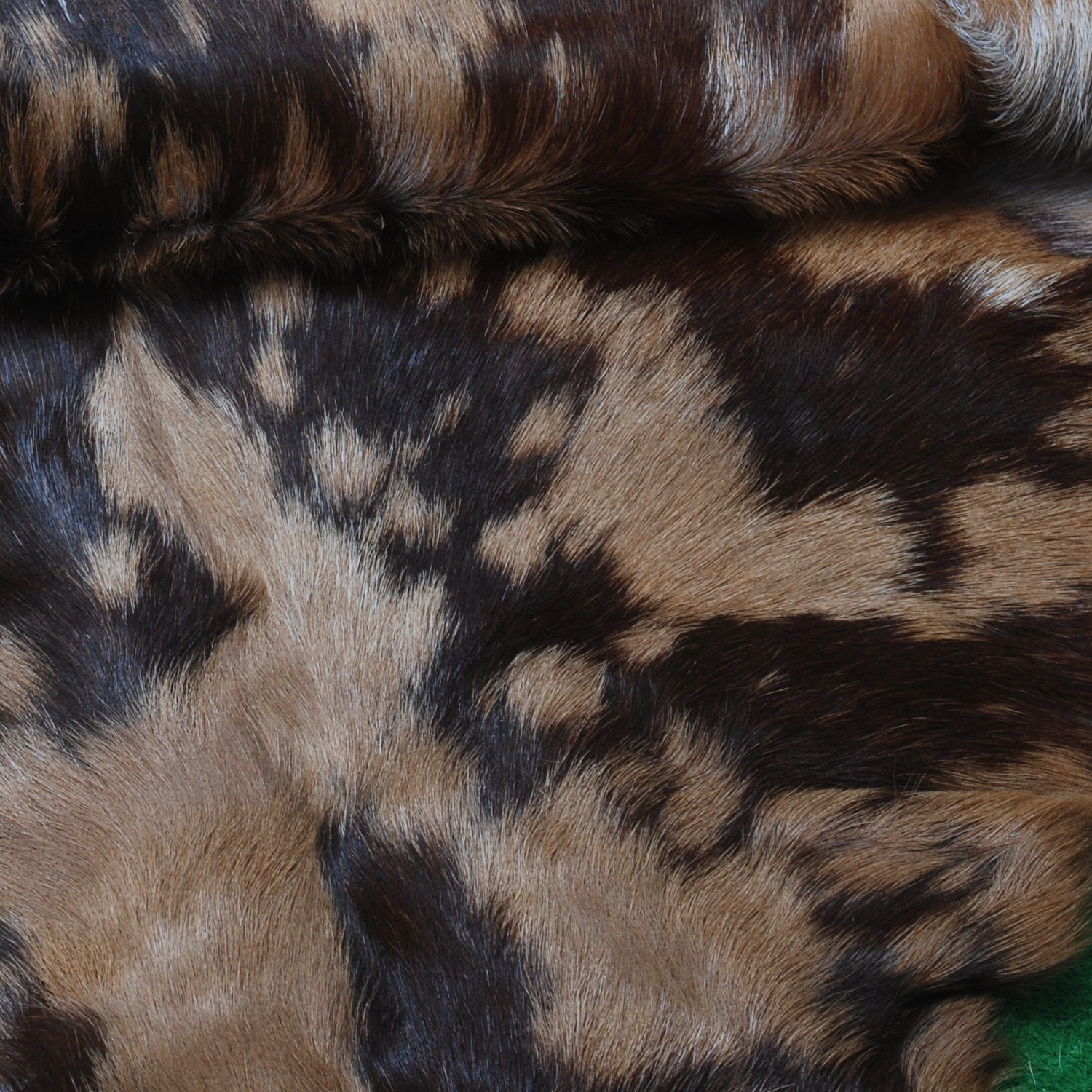 Luxurious Brown & Black Genuine Goat Skin Rug for Home Décor