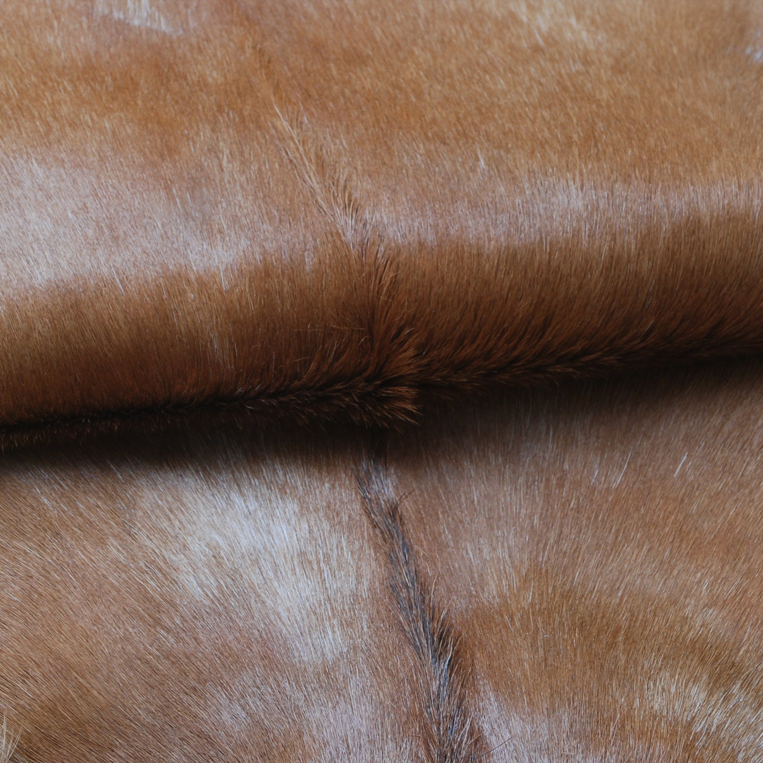Luxurious Brown and Black Genuine Goat Hide Rug - Premium Hair-On Goat Skin Rug - Celestial Leather Limited